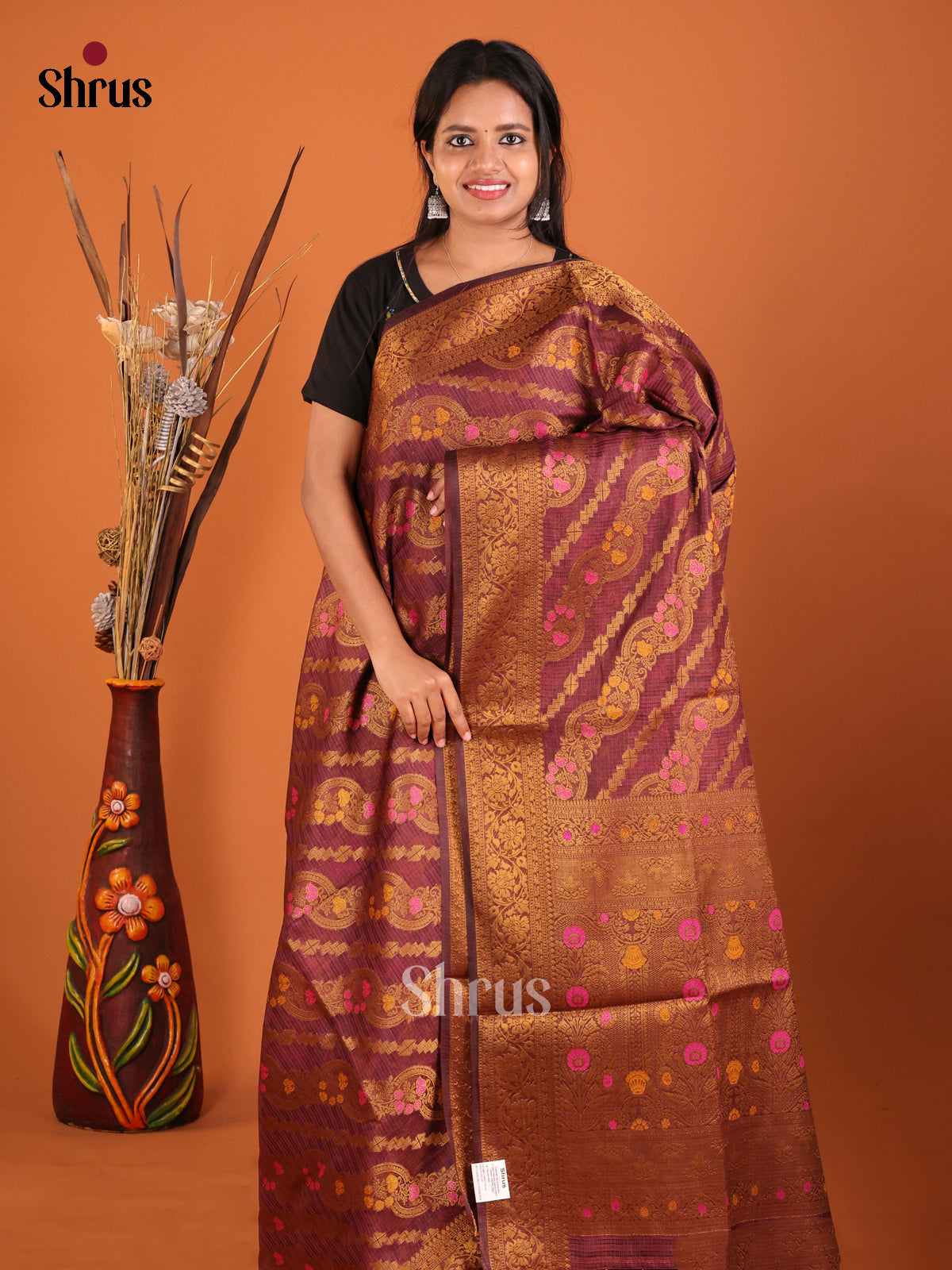 brown gold zari North Silk Cotton Saree