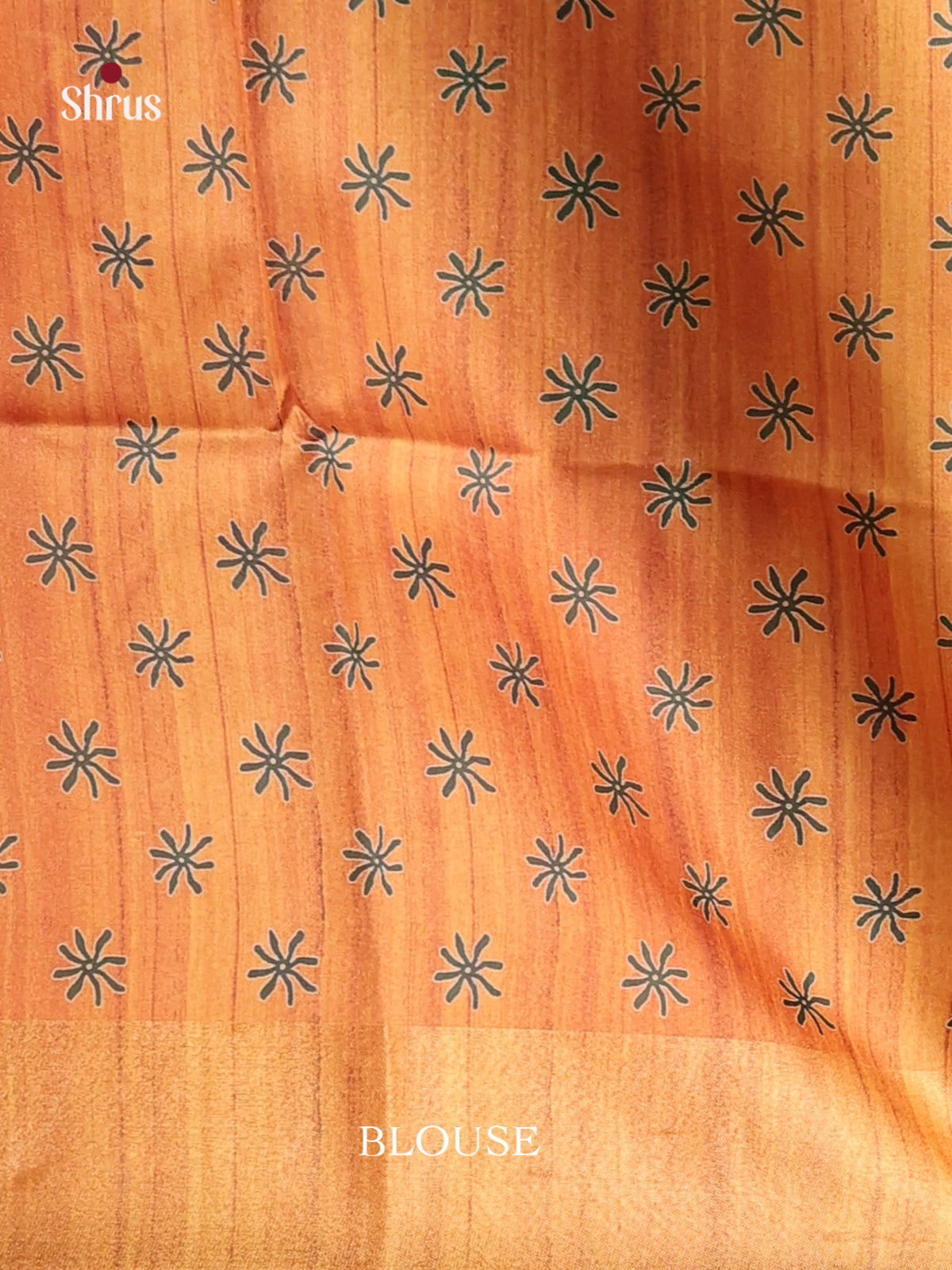 DHS28004 - Champa semitussar Saree