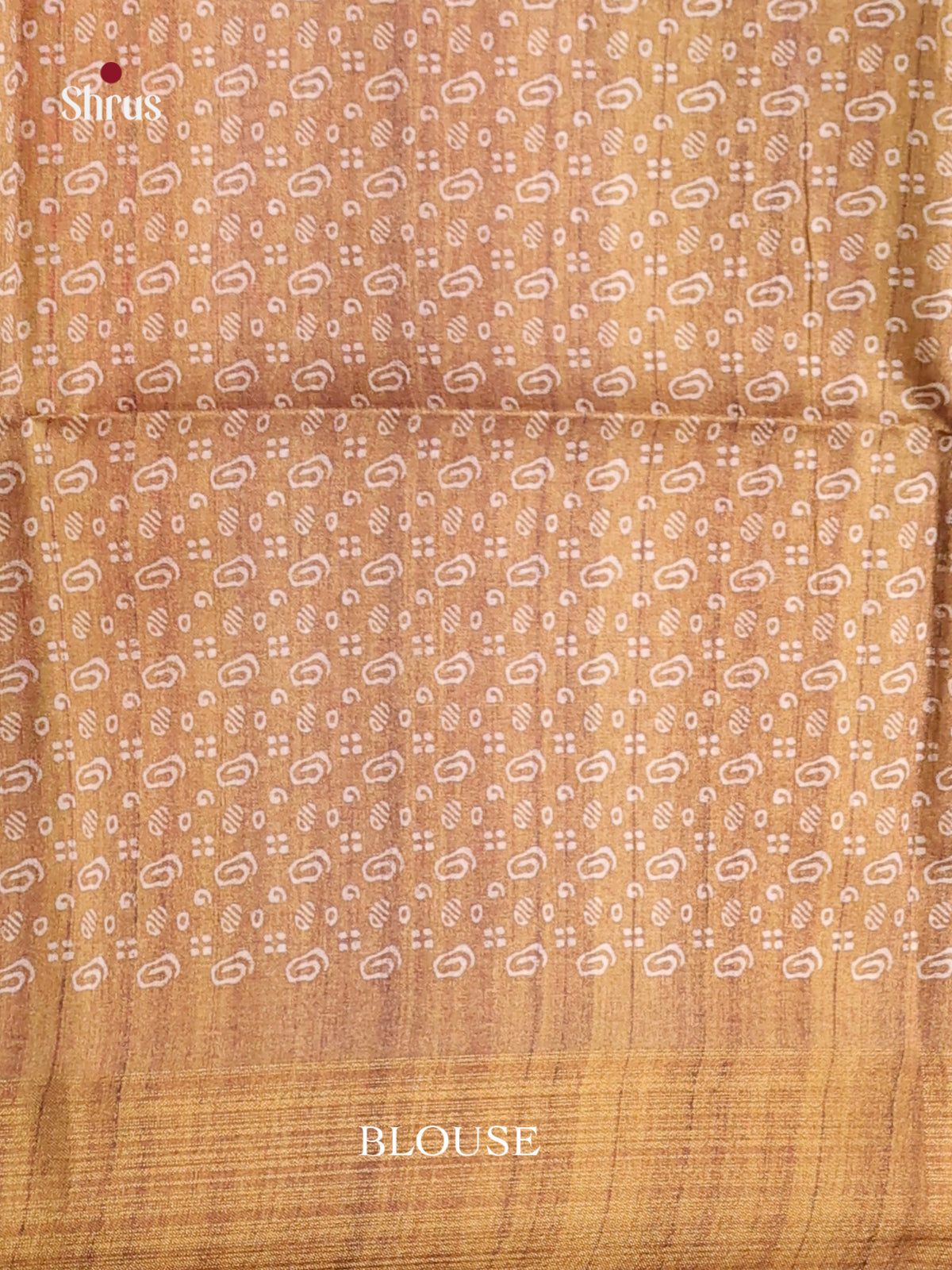DHS28066 - Champa semitussar Saree