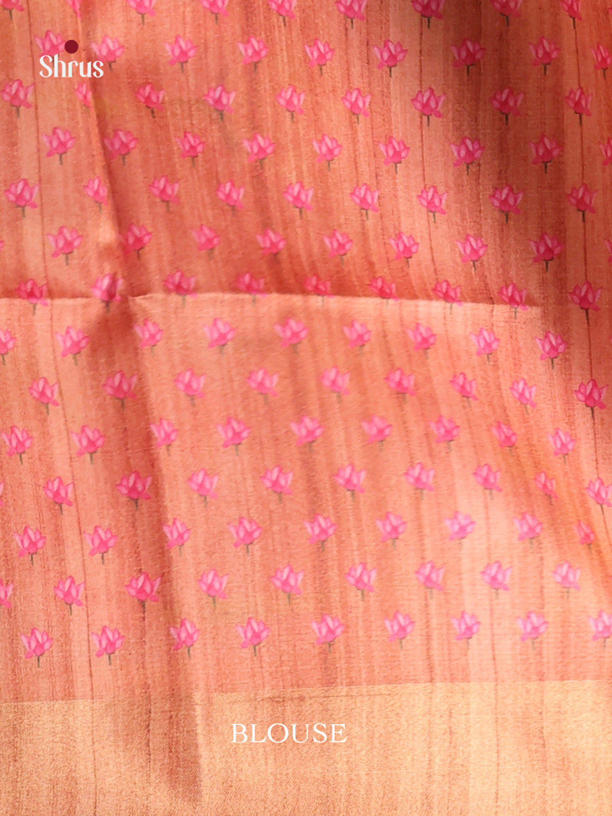 DHS28073 - Champa semitussar Saree - Shop on Shrus.com