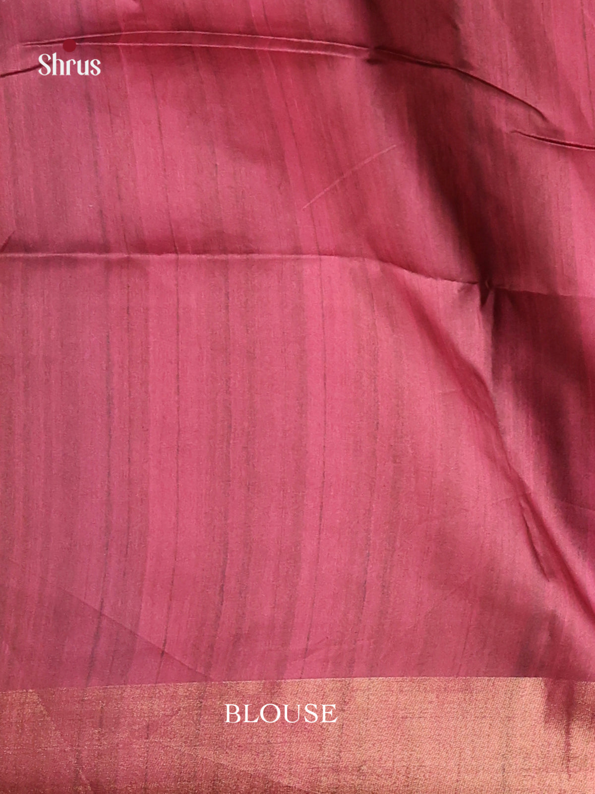 DHS28115 - Champa semitussar Saree