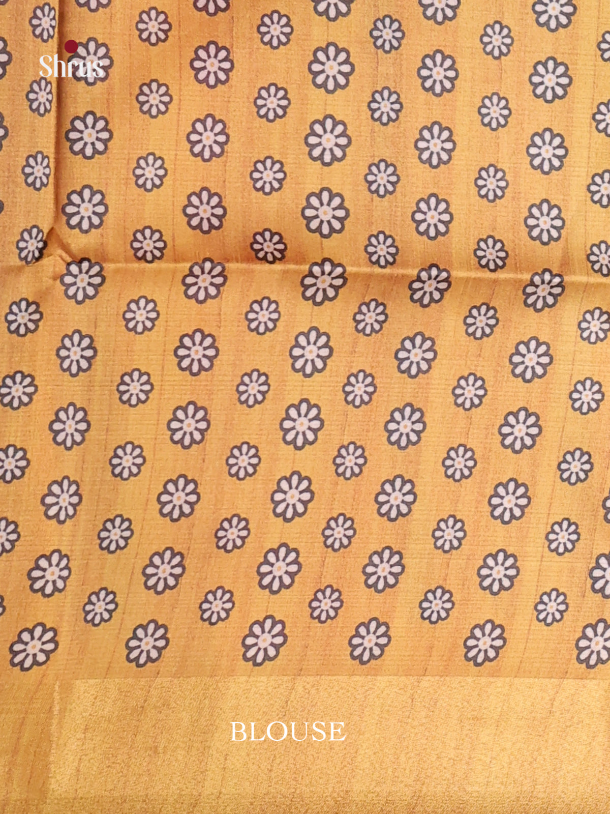 DHS28163 - Champa semitussar Saree