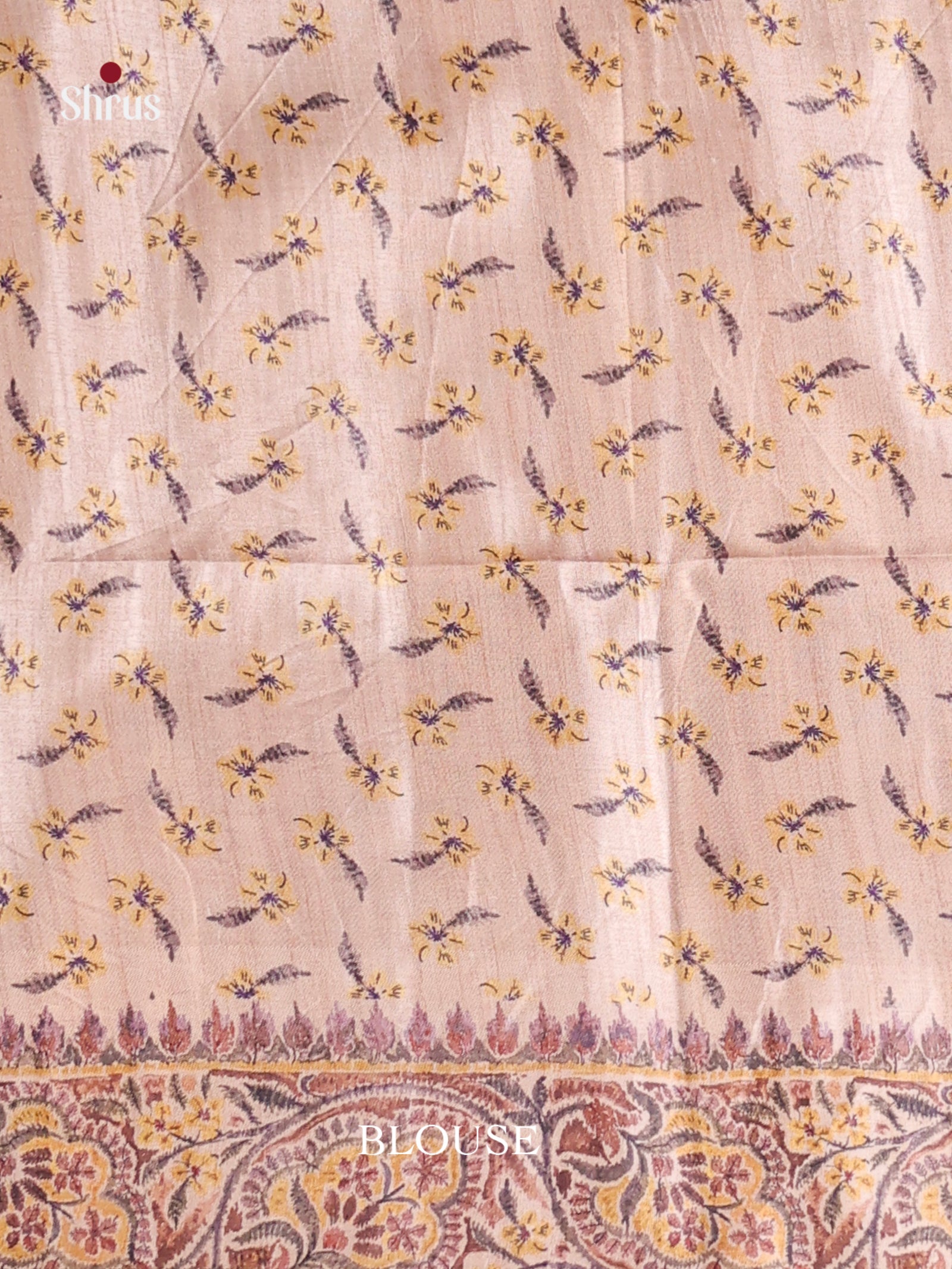 Brown & Cream - Moonga Silk Saree