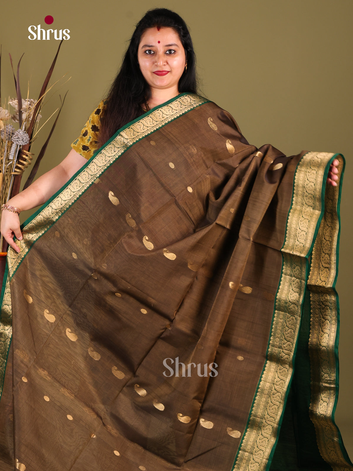 DHS30344 - Silk Cotton Saree - Shop on Shrus.com