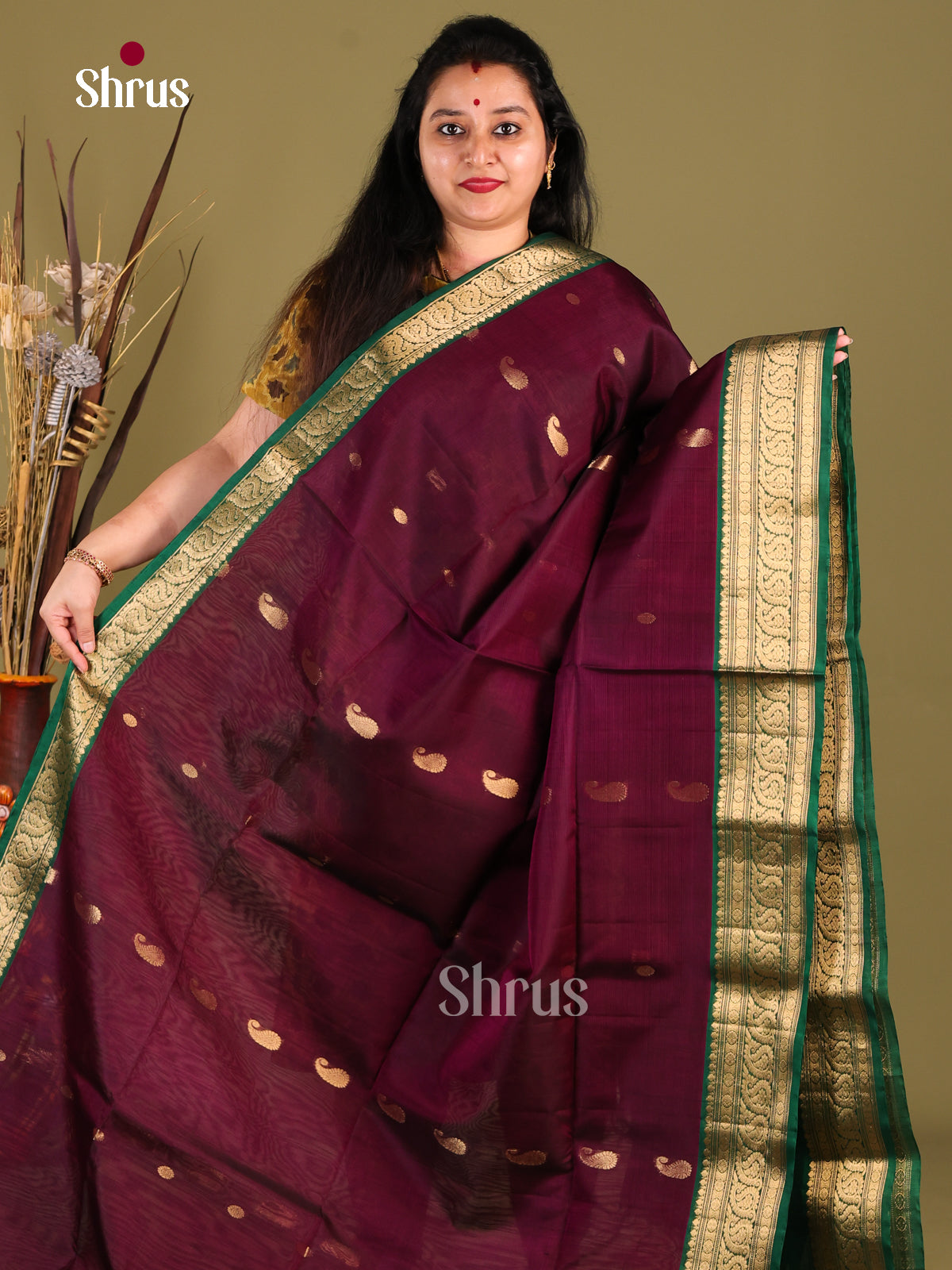 Maroon & Green- Silk Cotton Saree - Shop on Shrus.com