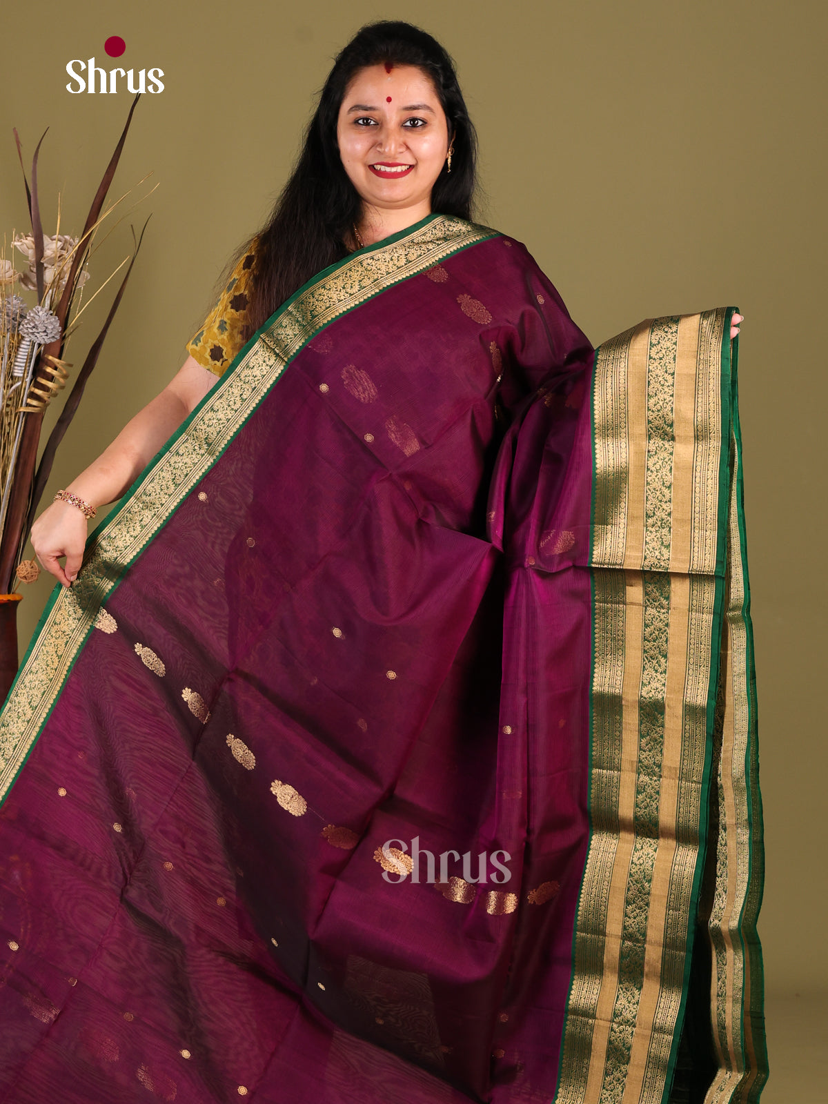 DHS30349 - Silk Cotton Saree - Shop on Shrus.com