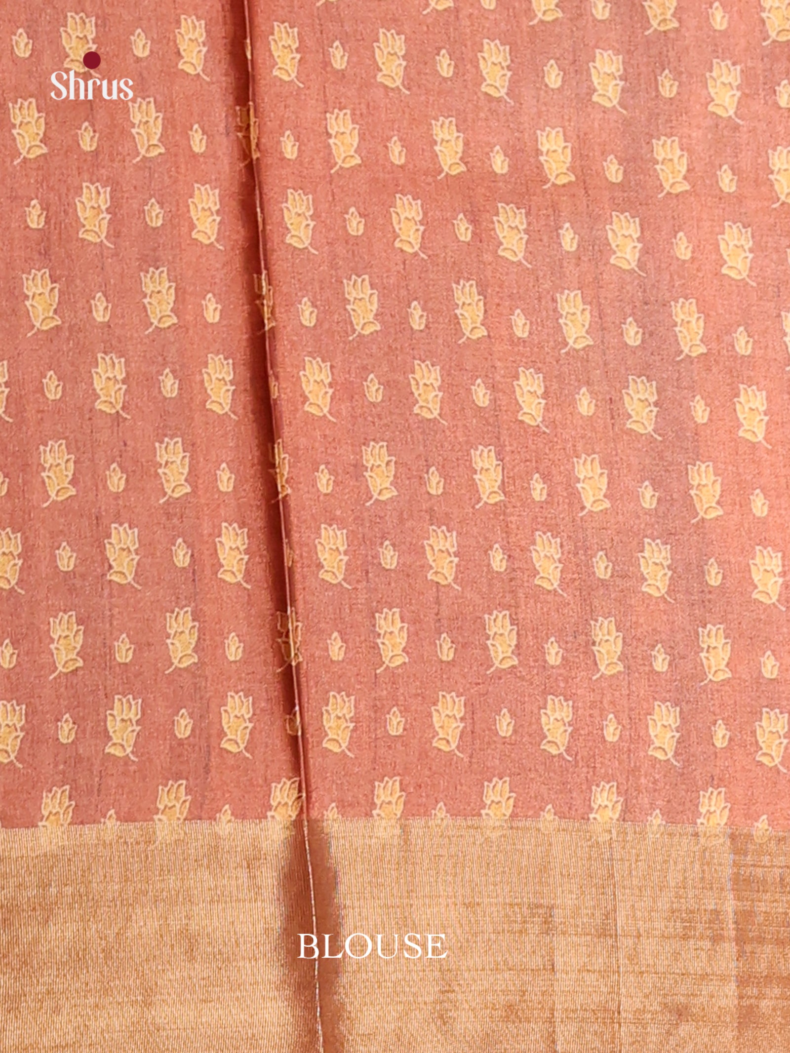 Dark Brown  & Brown- Butter silk Saree