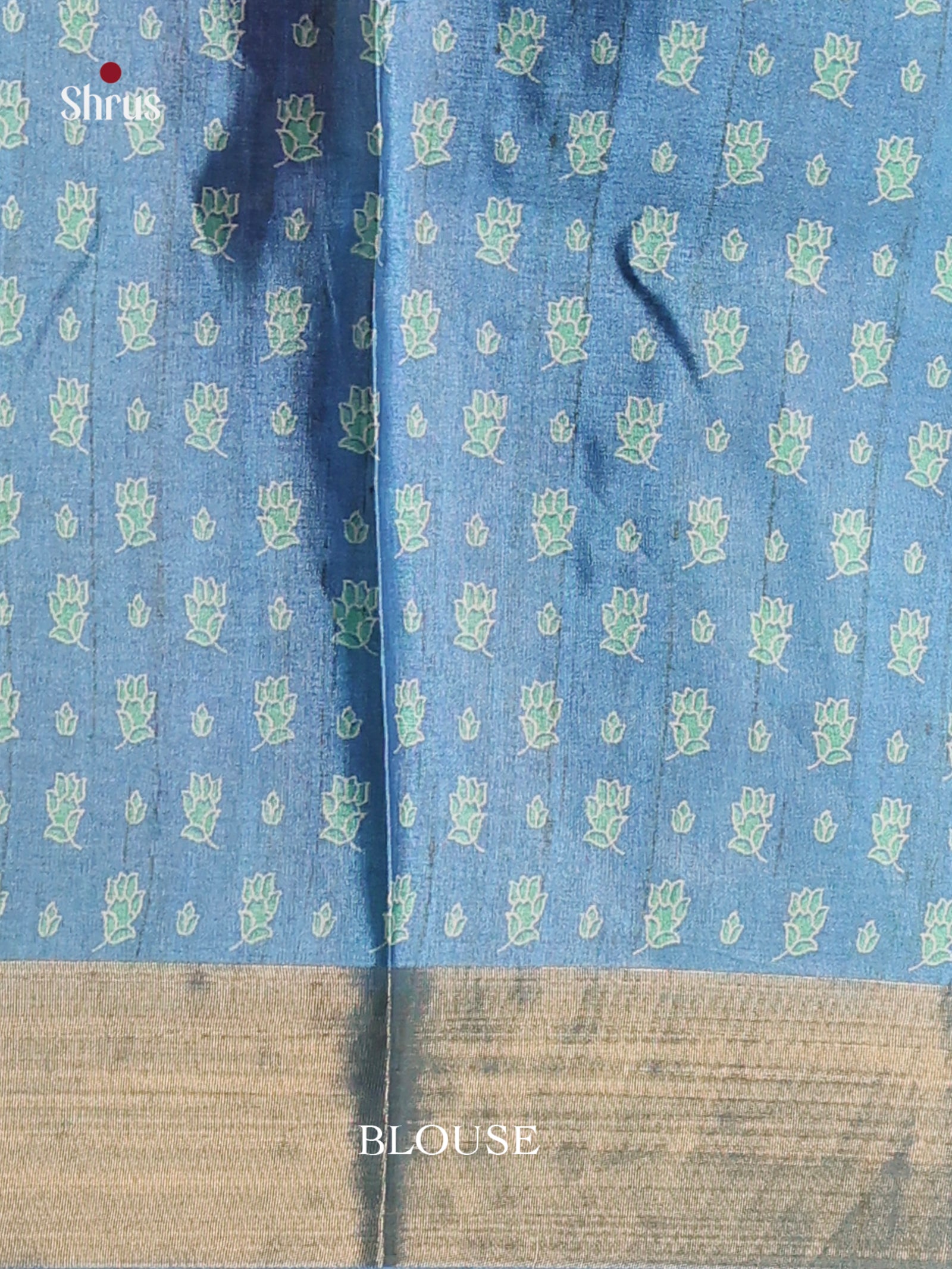 Blue & Green - Butter silk Saree