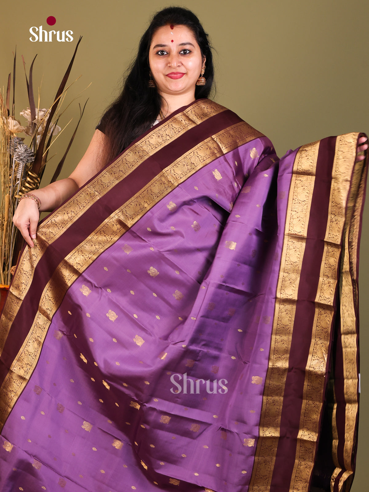 DIS05012 - Kanchipuram-halfpure Saree - Shop on Shrus.com