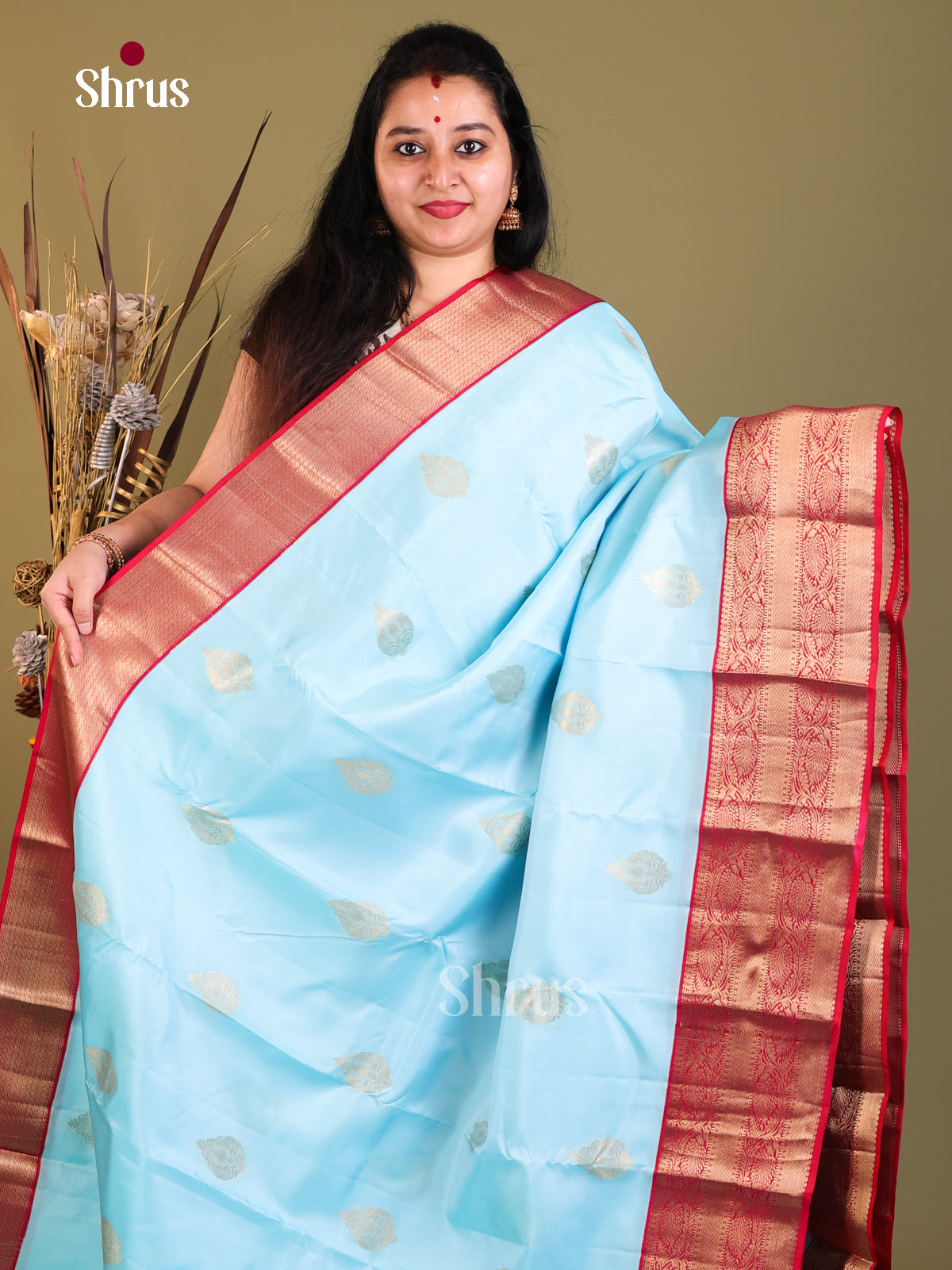 Pastel Blue & Red - Kanchipuram-halfpure Saree - Shop on Shrus.com