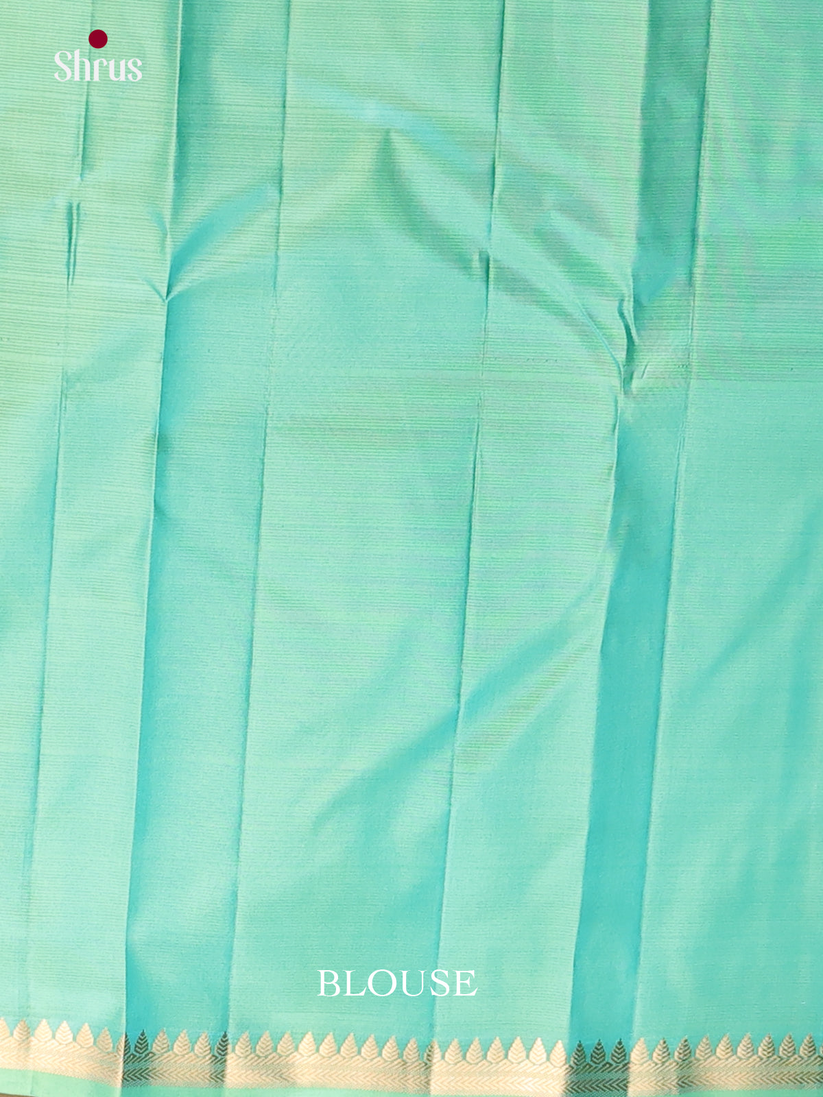 Sky Blue Kanchipuram silk Saree -2