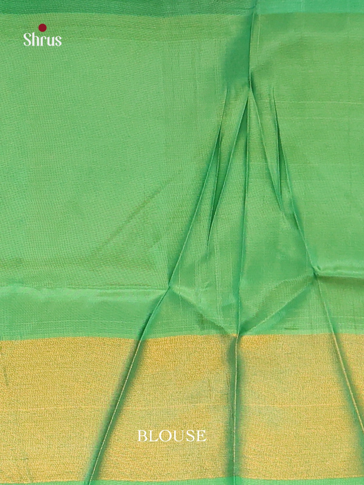 Orange & Green - Semi uppada Saree