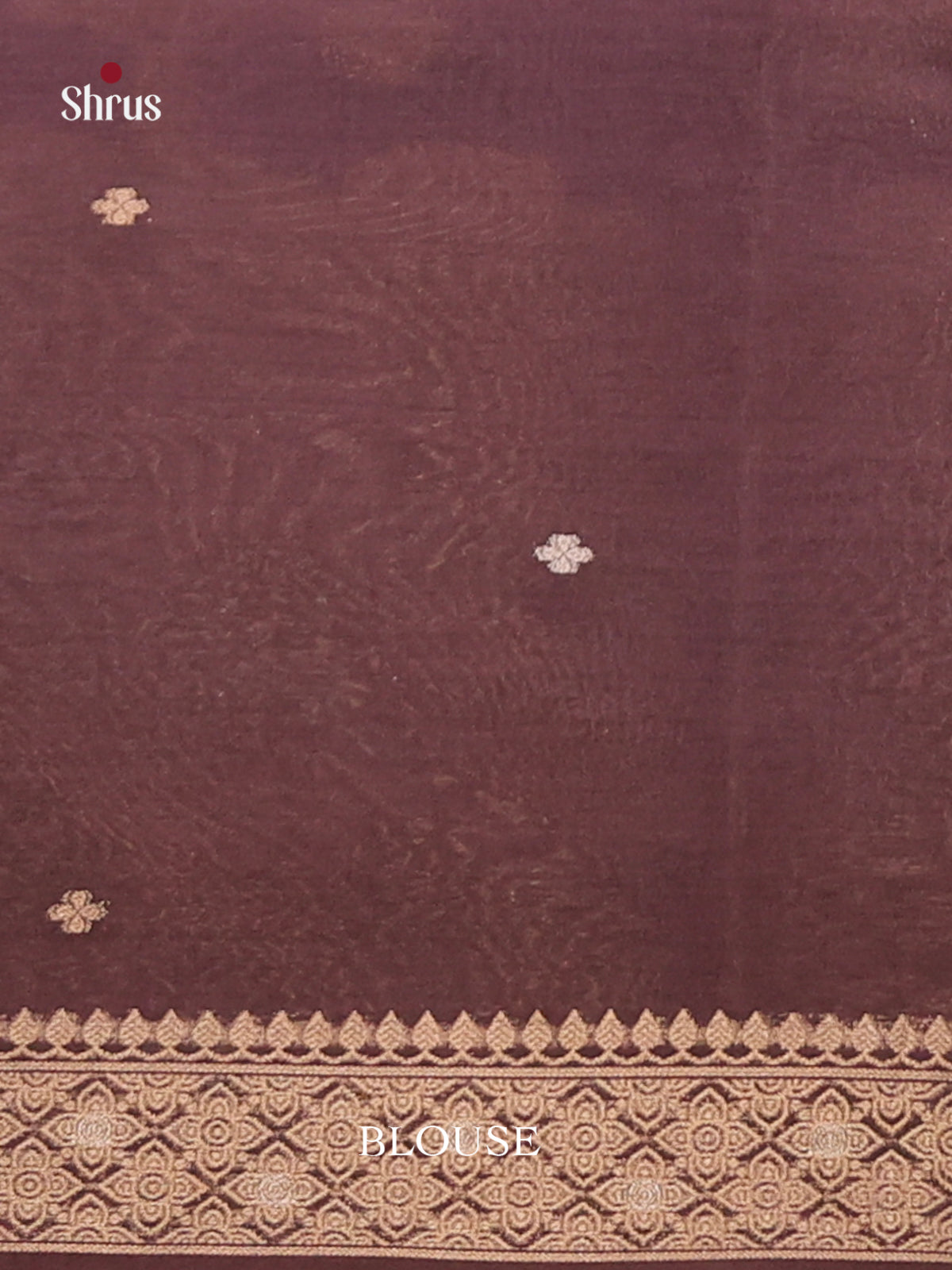 Brown - Semi Tussar Saree