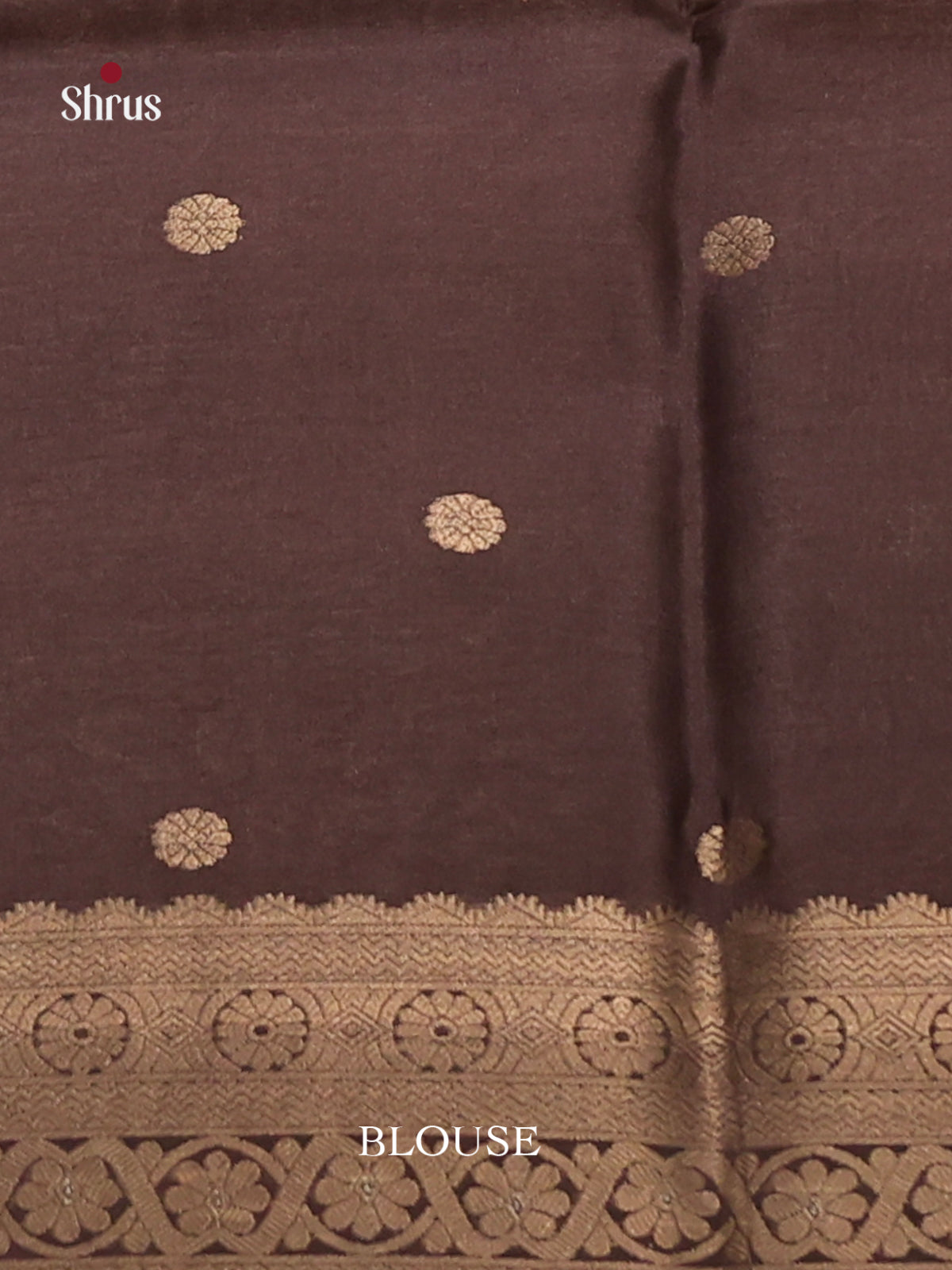 Brown - Semi Tussar Saree