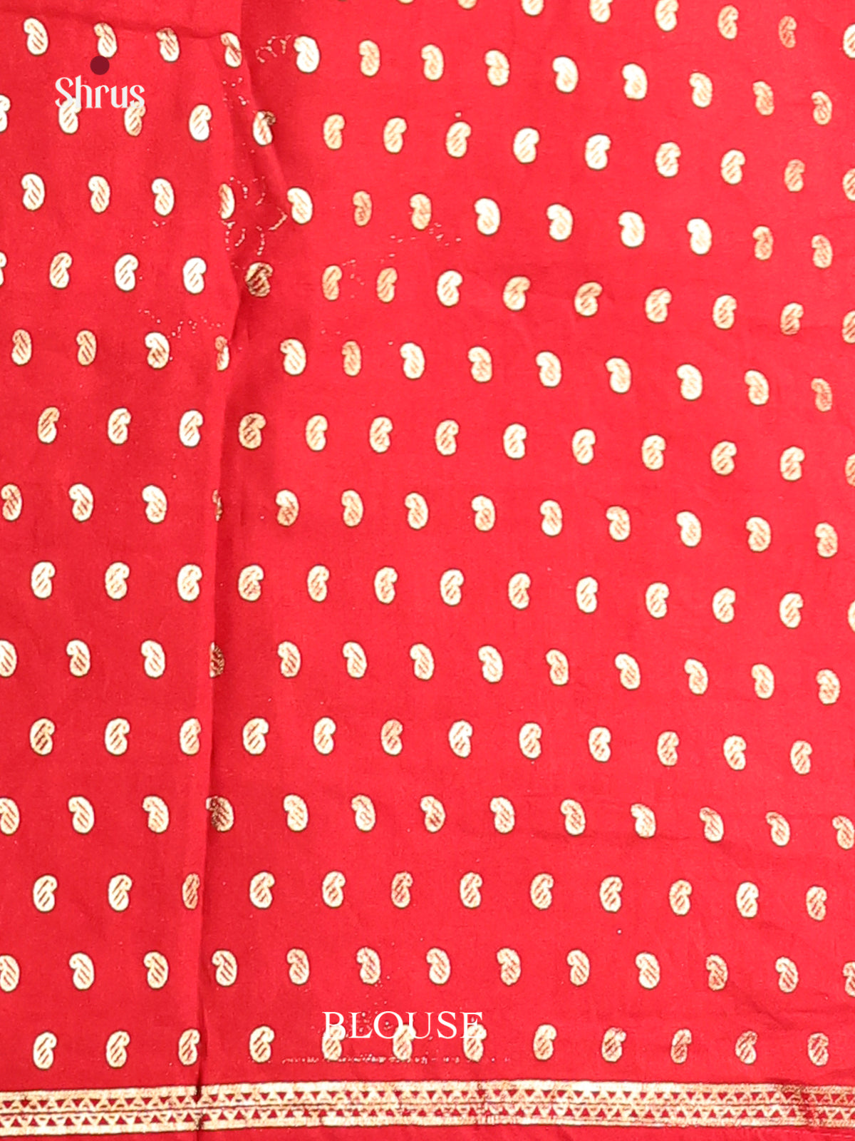 DIS06144 - Pashmina Cotton Saree