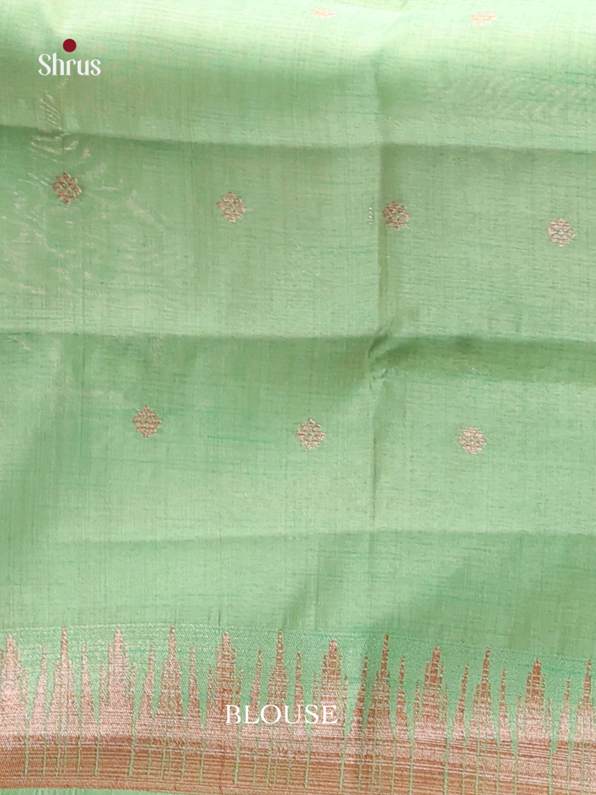 Pastel Green - Semi Rawsilk Saree