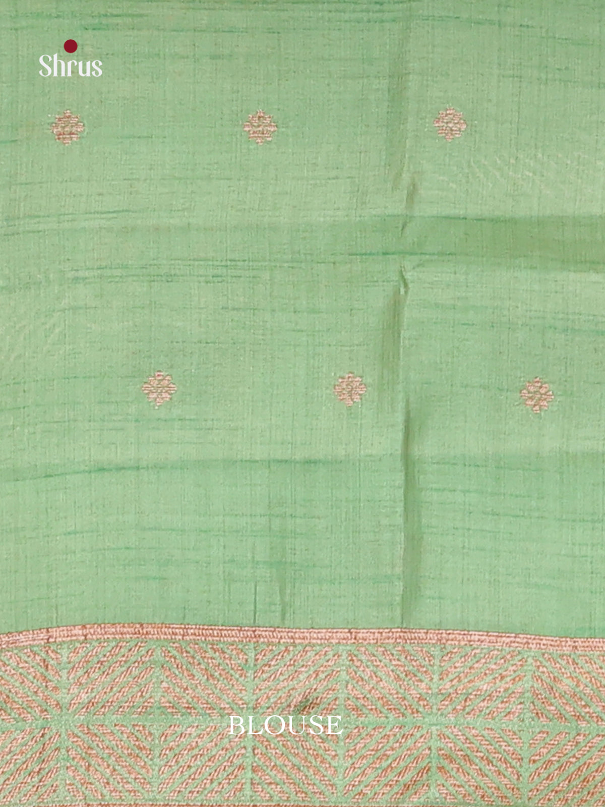 Pastel Green - Semi Rawsilk Saree