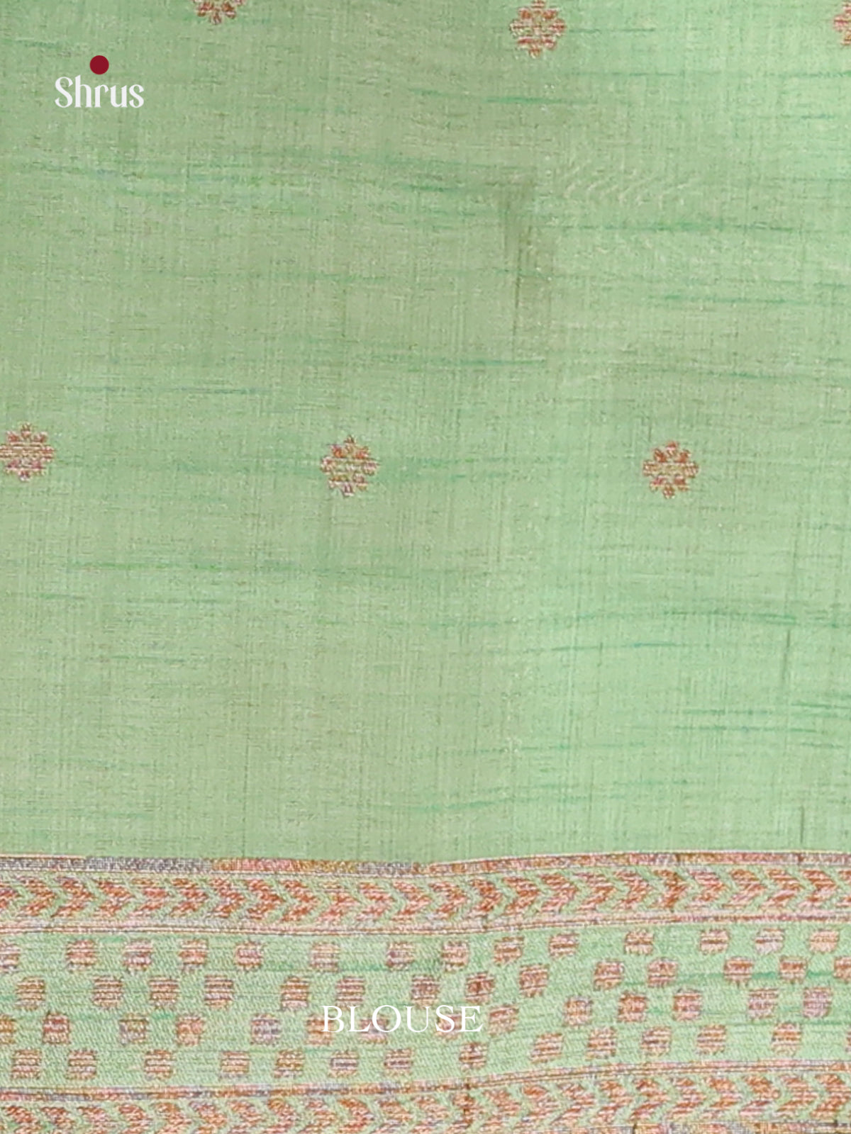 Pastel Green  - Semi Rawsilk Saree
