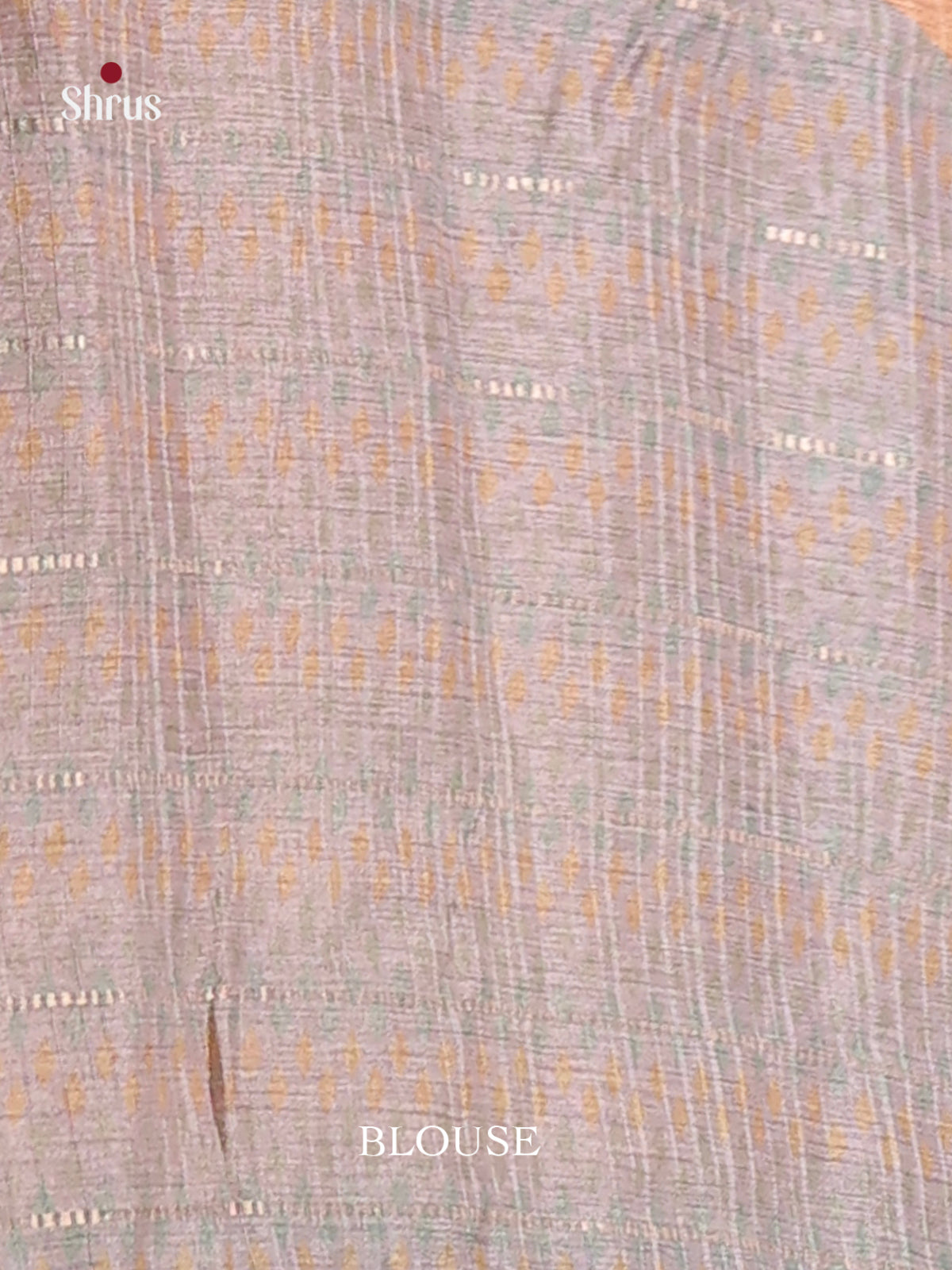 DIS07319 - Semi Tussar Saree