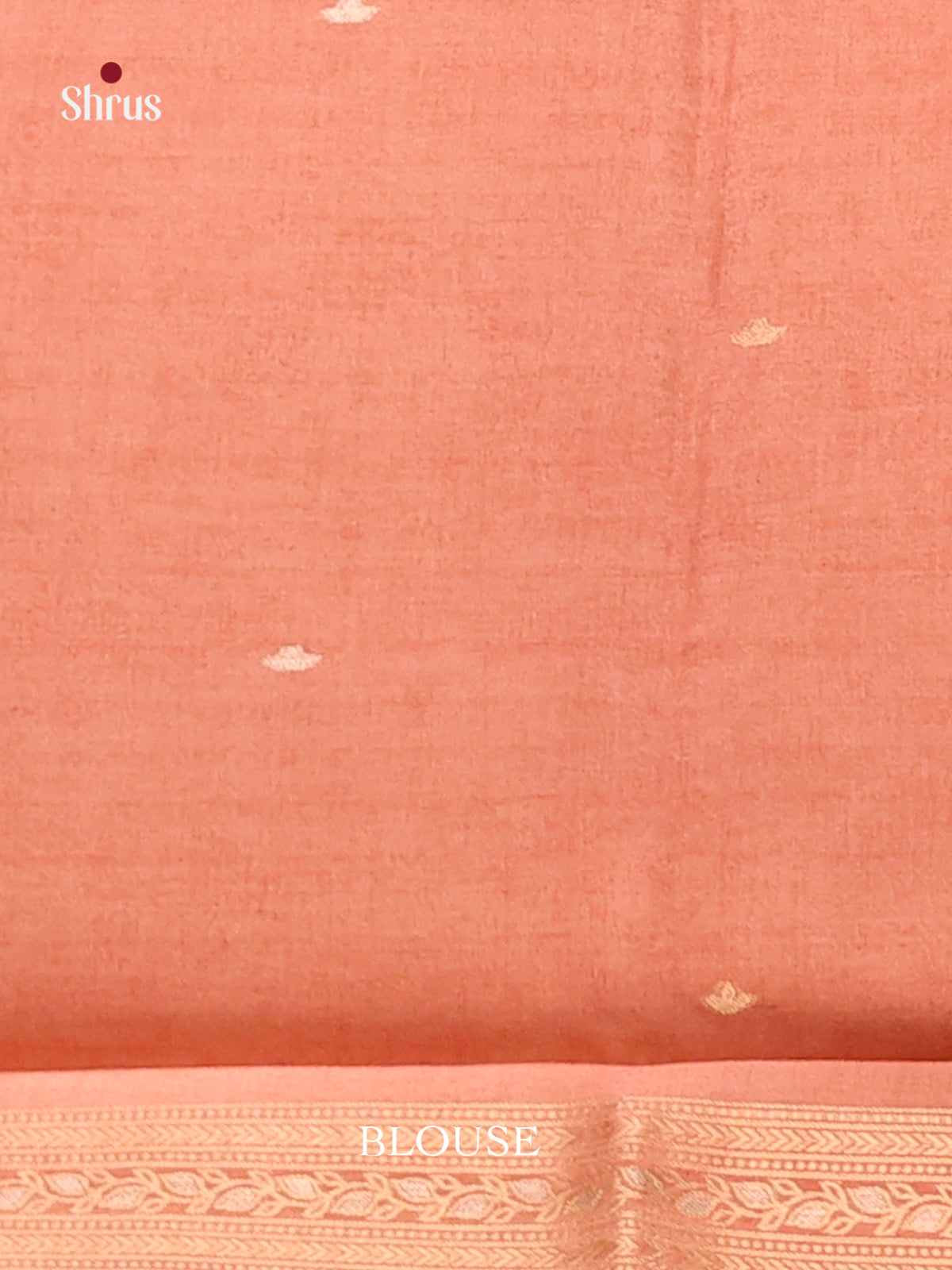 Blue & Peach - Semi Tussar Saree