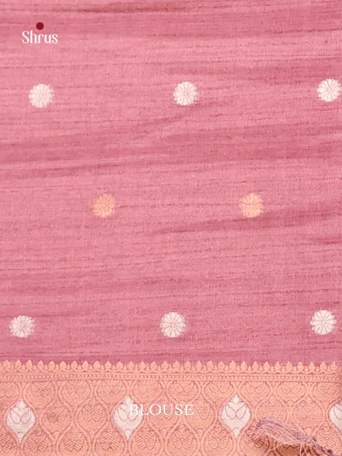 Brown & Purple - Semi Tussar Saree