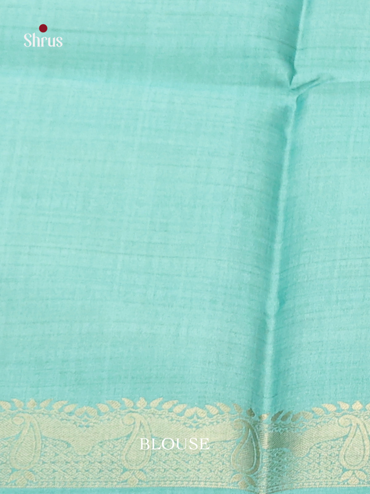 DIS08605 - Semi Tussar Saree