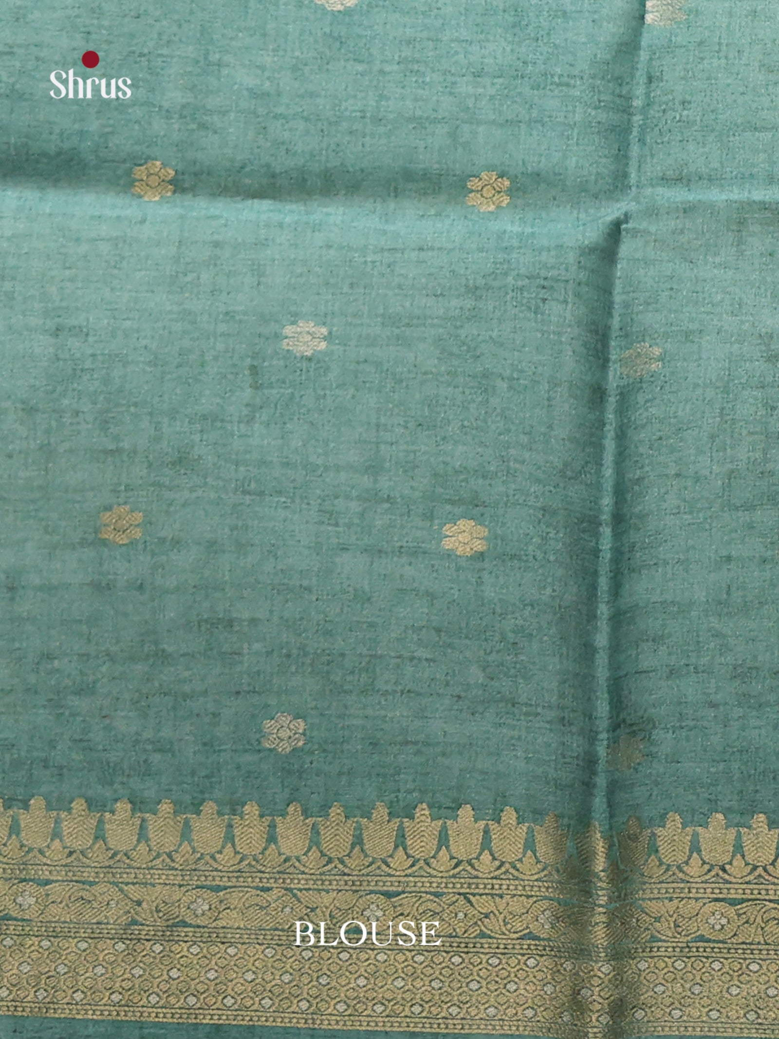 DIS08610 - Semi Tussar Saree