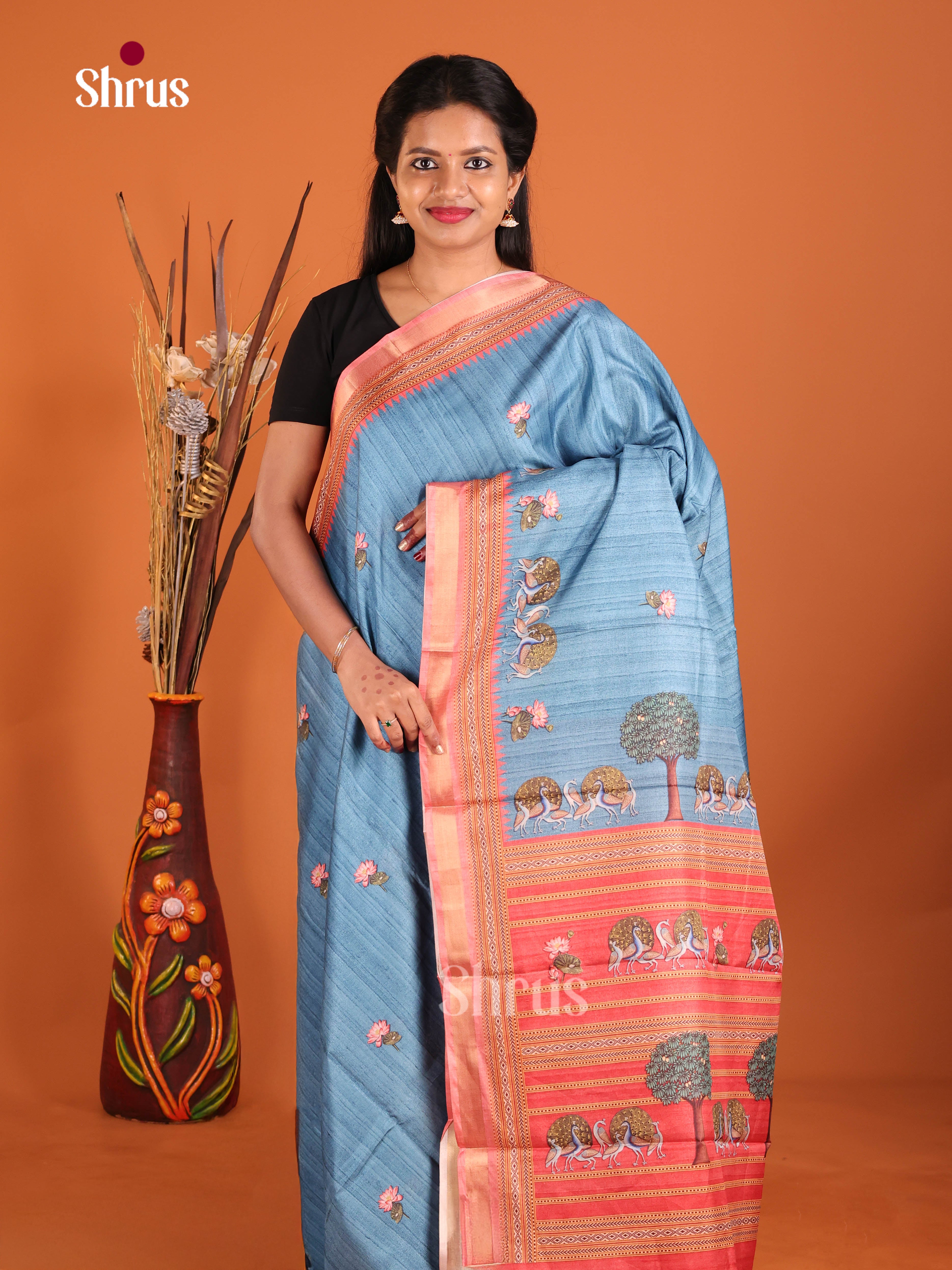 Blue & Red  - Art Modal Saree