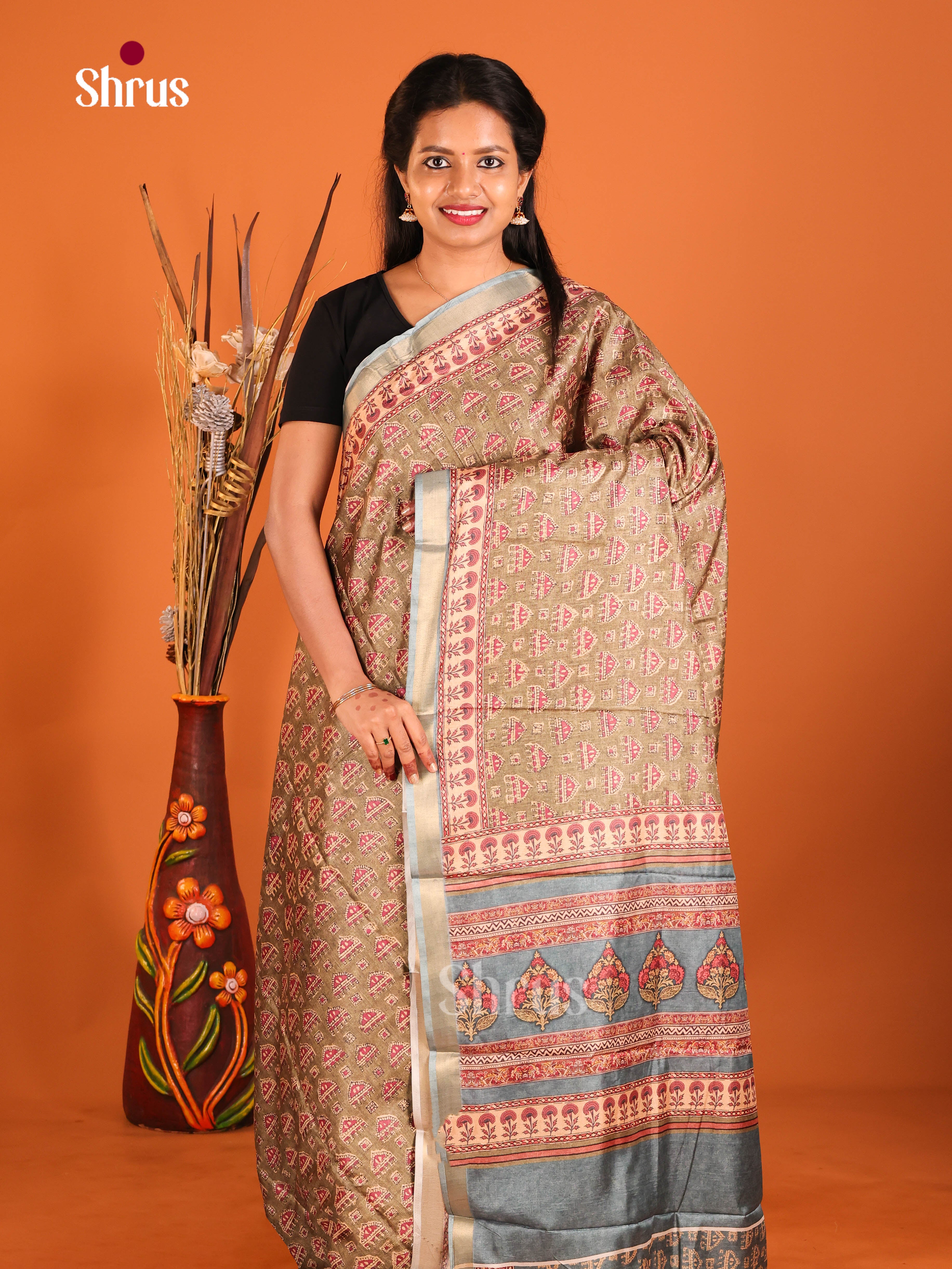 Brown & Grey - Art Modal Saree