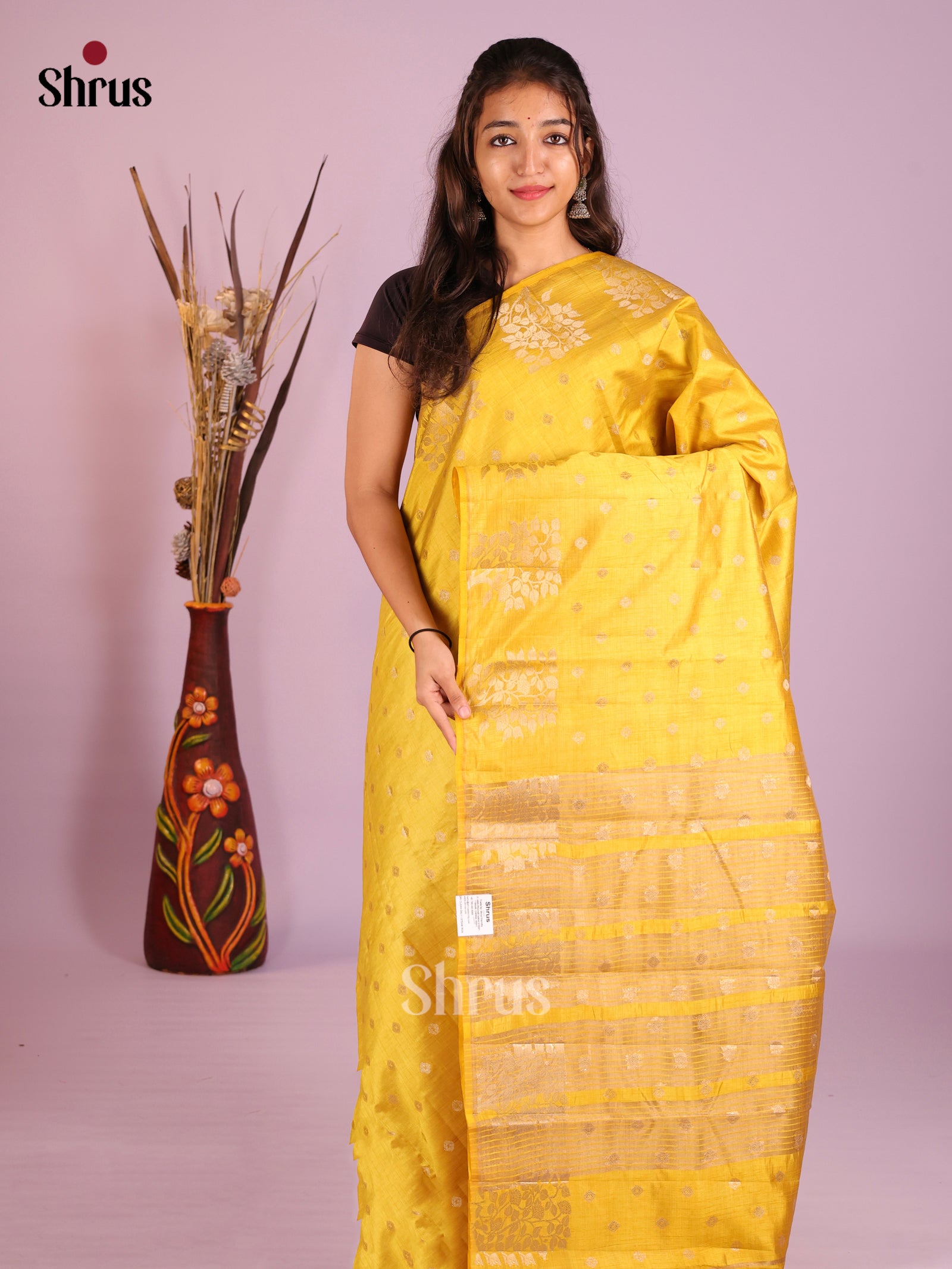DIS09503 - Semi Rawsilk Saree