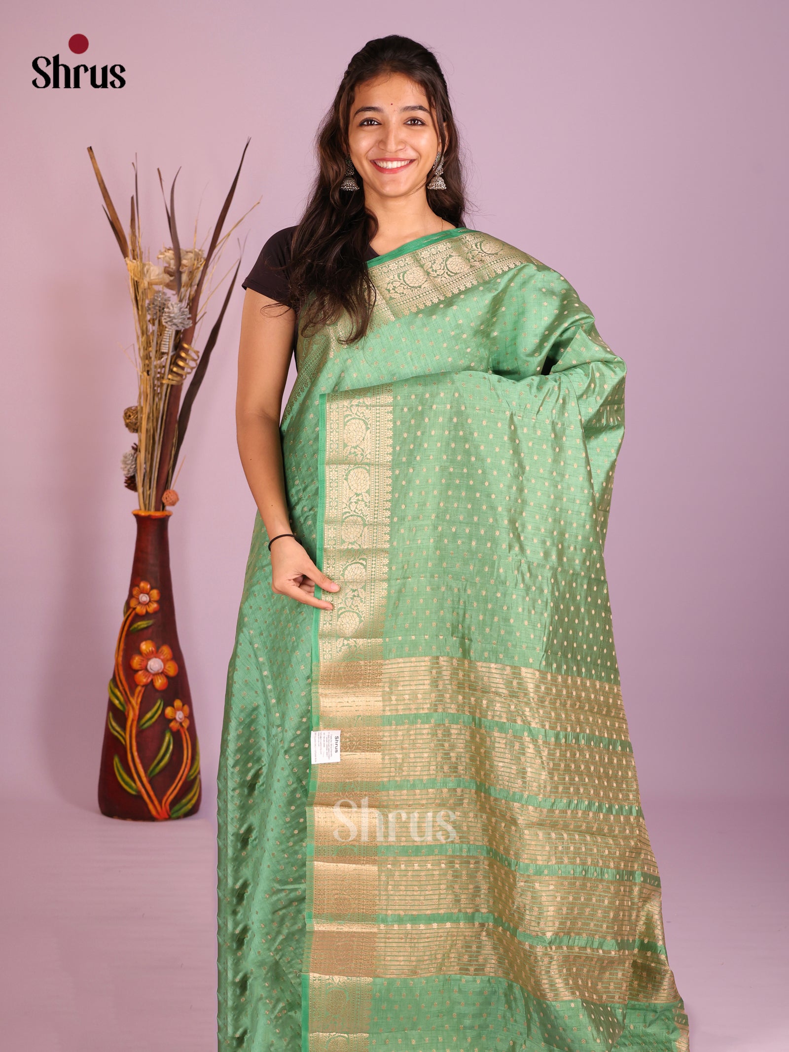 Pastel Green - Semi Rawsilk Saree