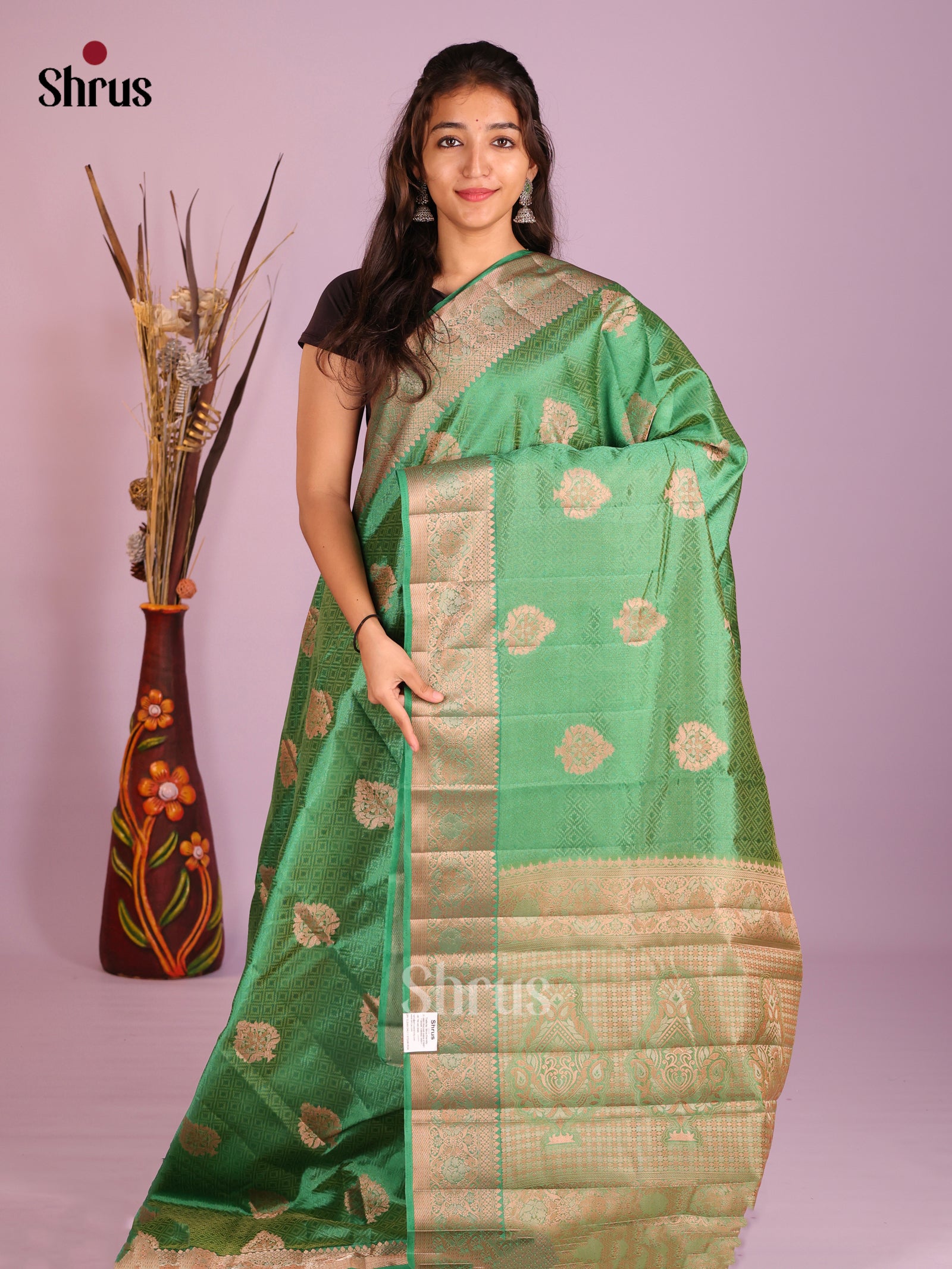 Pastel Green - Semi Rawsilk Saree