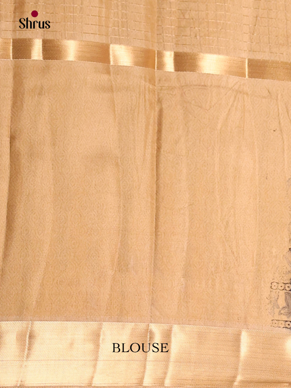 DIS10027 - Semi Chanderi Saree