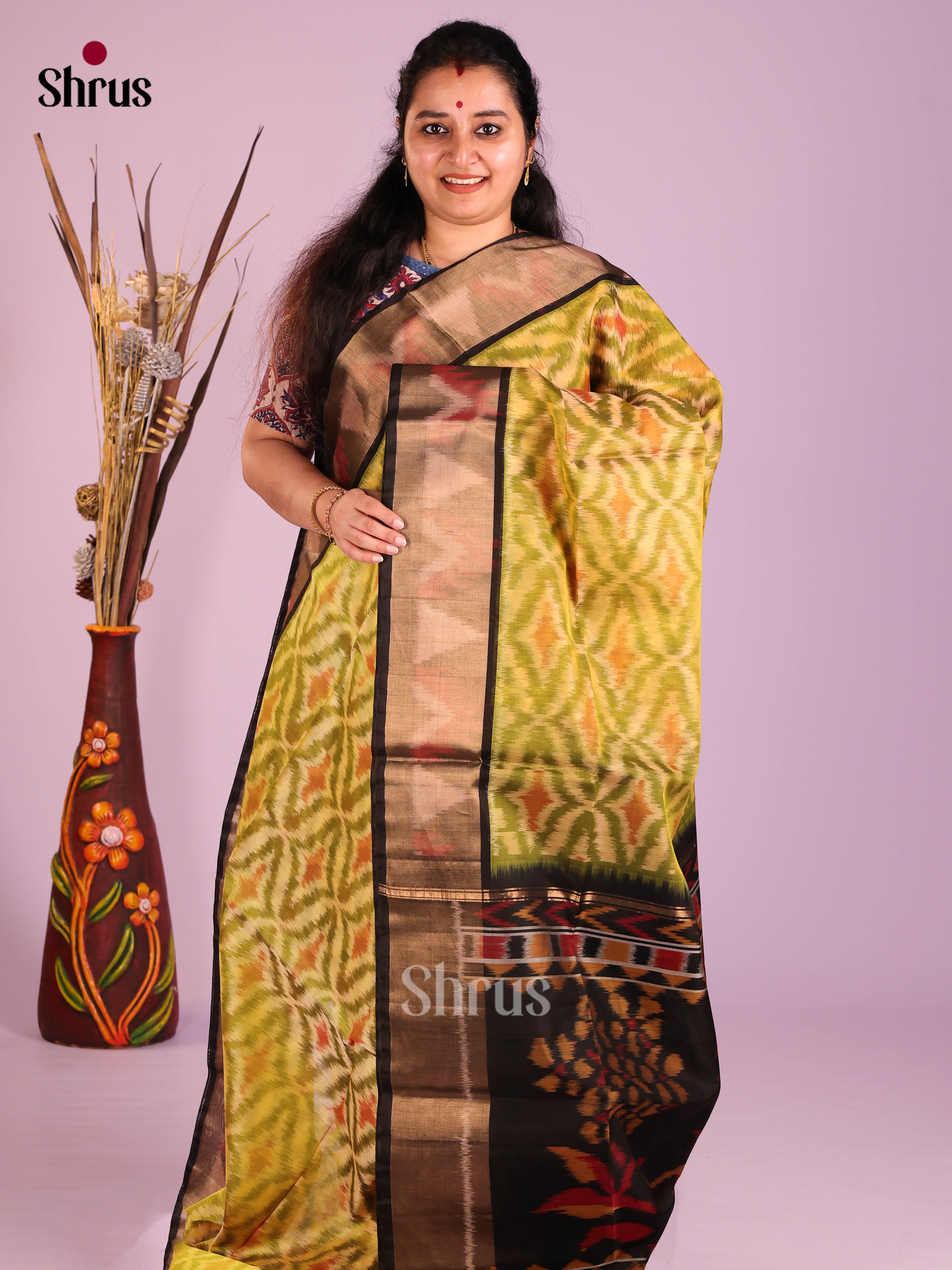 DIS11586 - Pochampally sico Saree - Shop on Shrus.com
