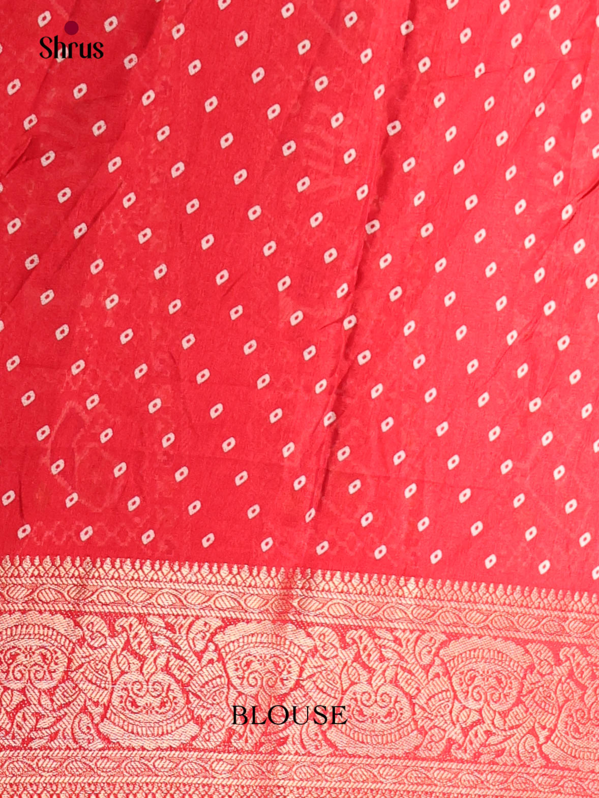 DIS12165 - Bandhini Saree