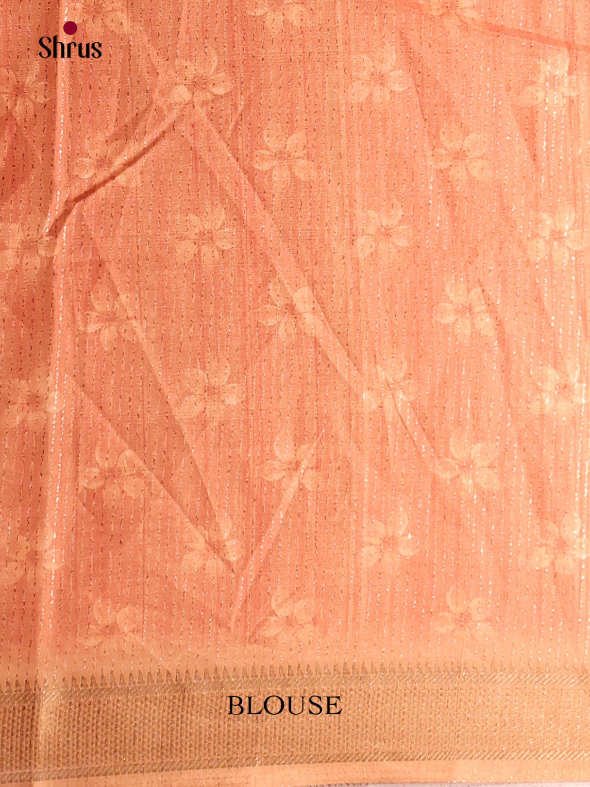 Cream & Brown  - Semi Dola silk Saree