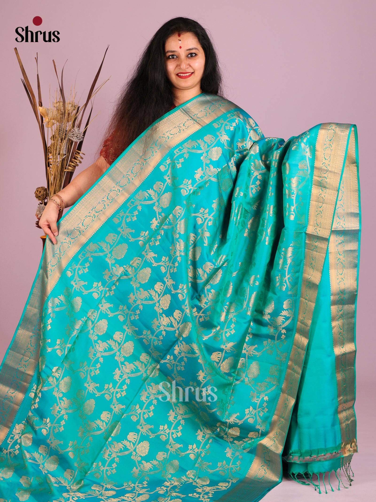 DIS14479 - Soft Silk (HR) Saree