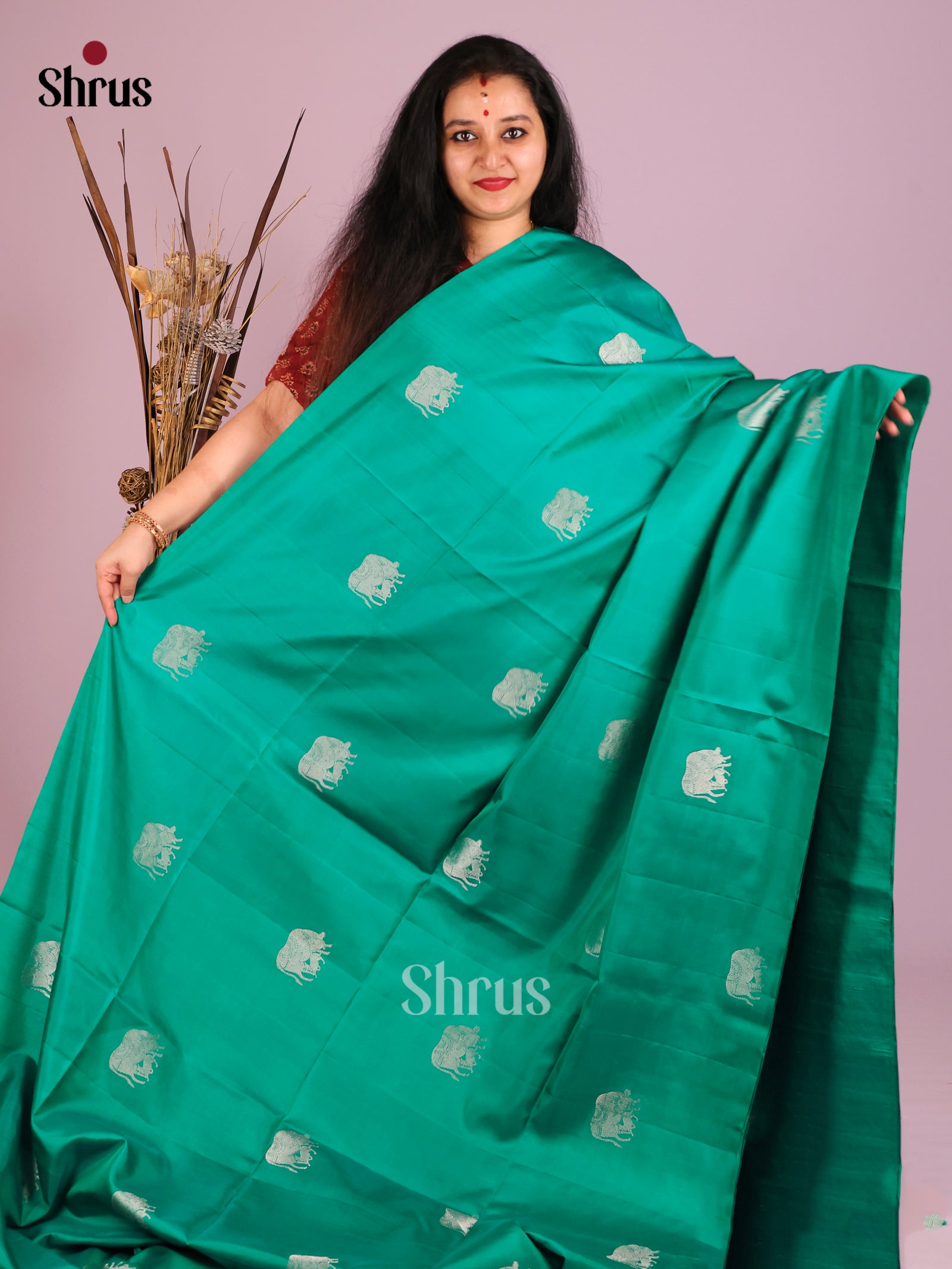 Serene Green Borderless Soft Silk Saree with zari cow buttas & Brocade Border 1