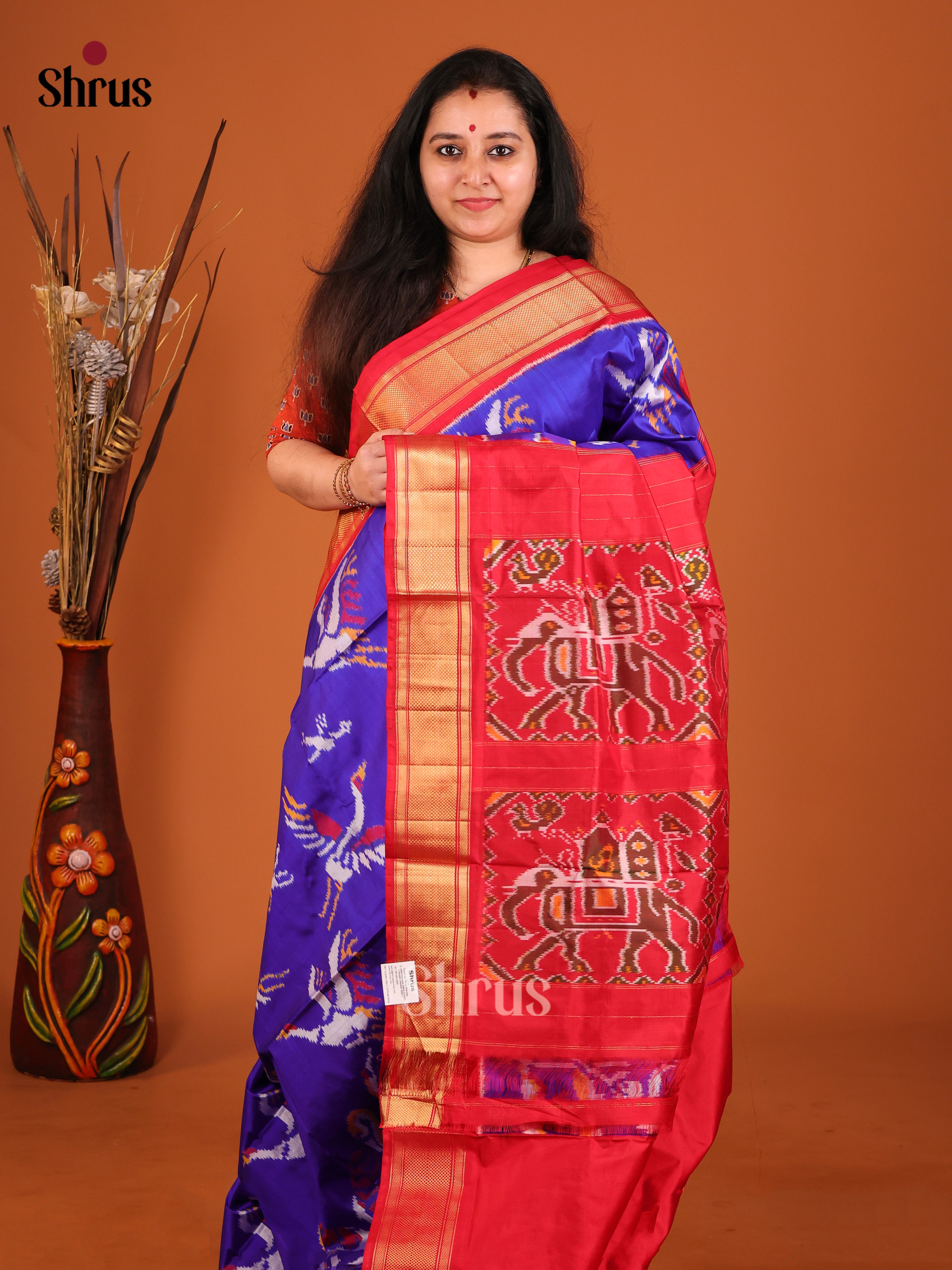 DIS16257 - Ikkat Silk Saree - Shop on Shrus.com