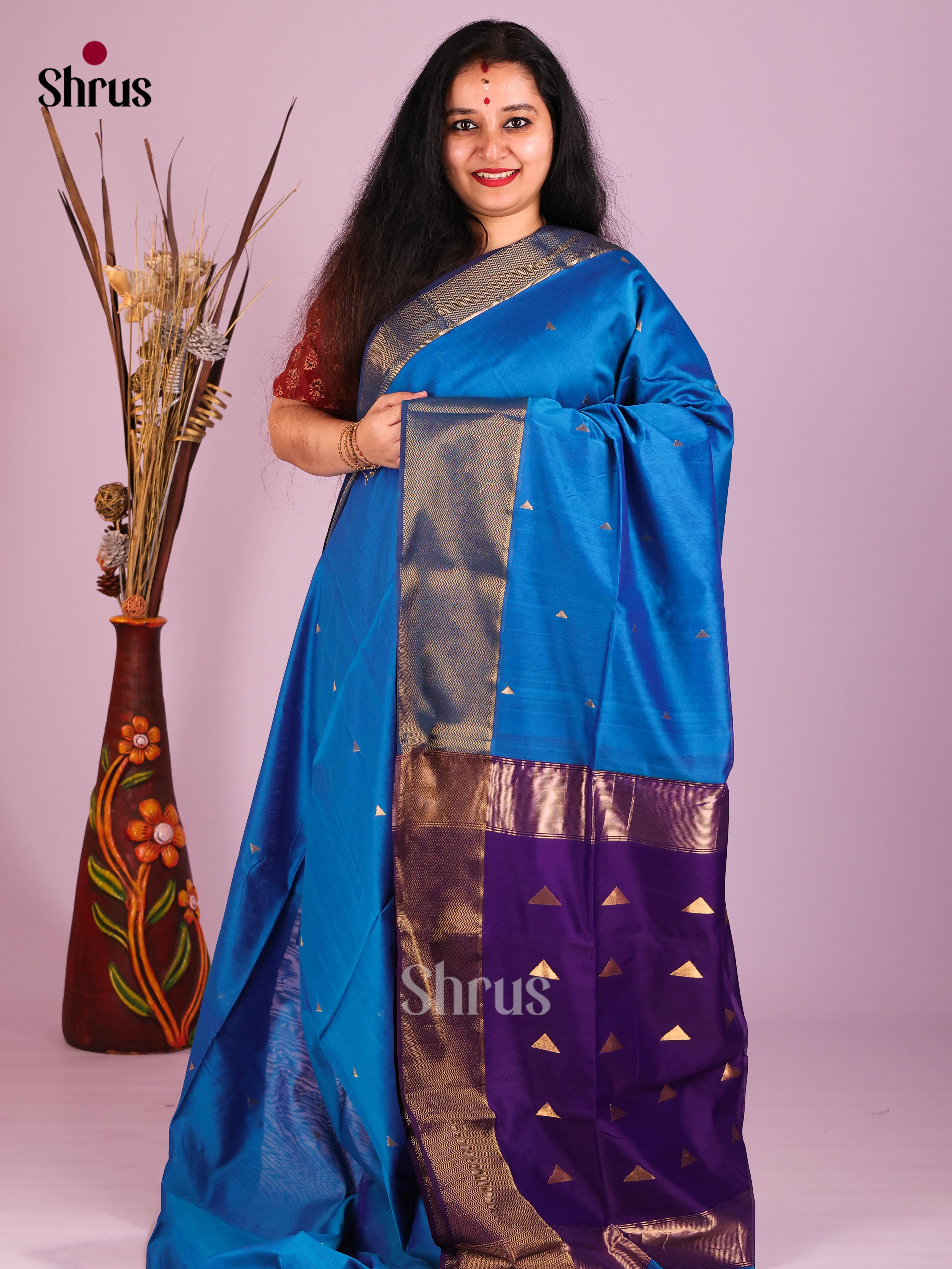 Blue & Violet- Maheshwari silkcotton Saree