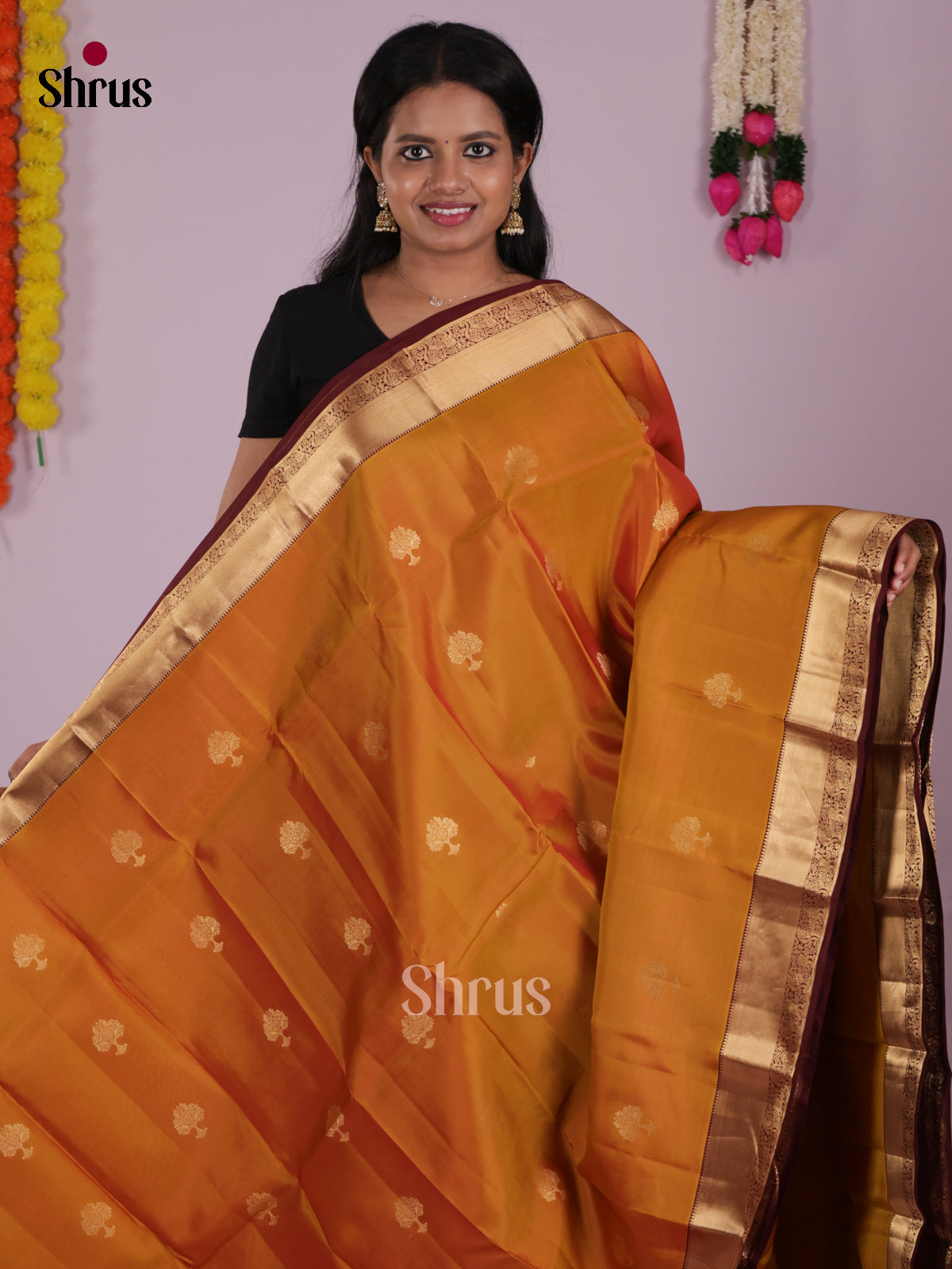DIS16573 - Kanchipuram-halfpure Saree - Shop on Shrus.com