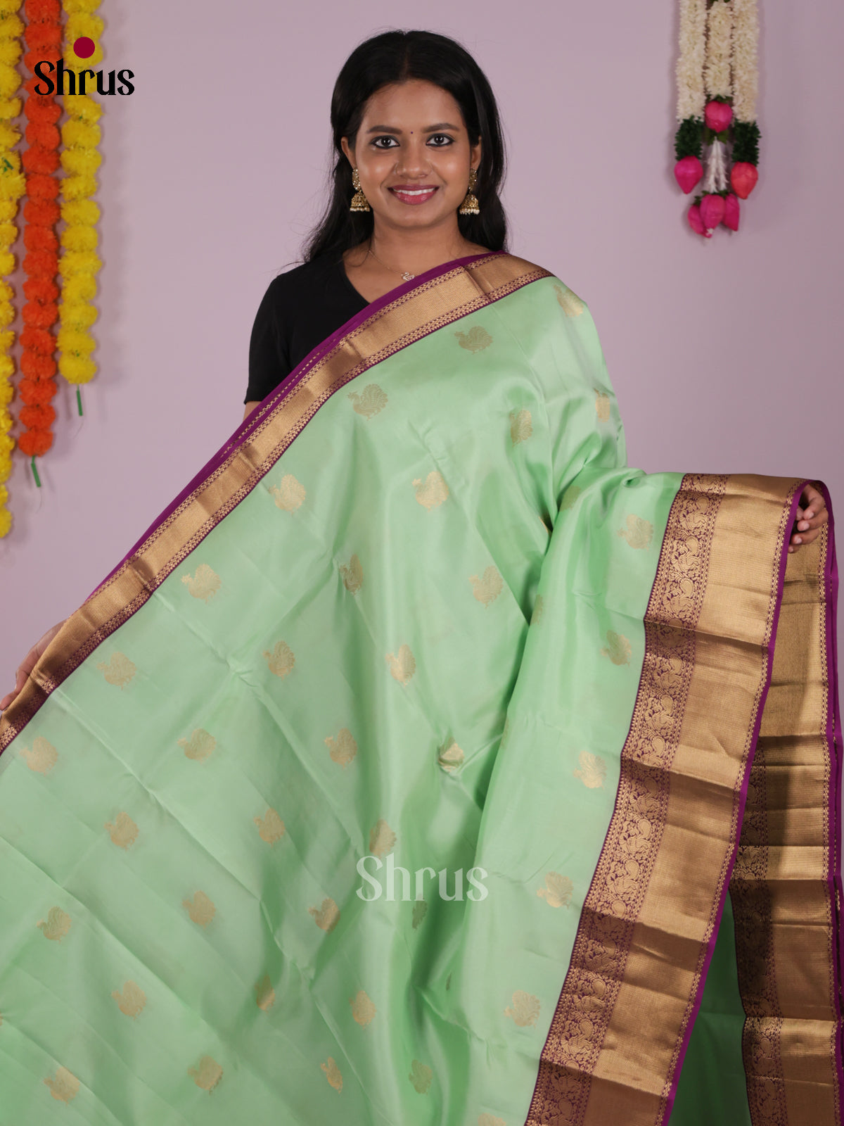 DIS16590 - Kanchipuram-halfpure Saree - Shop on Shrus.com