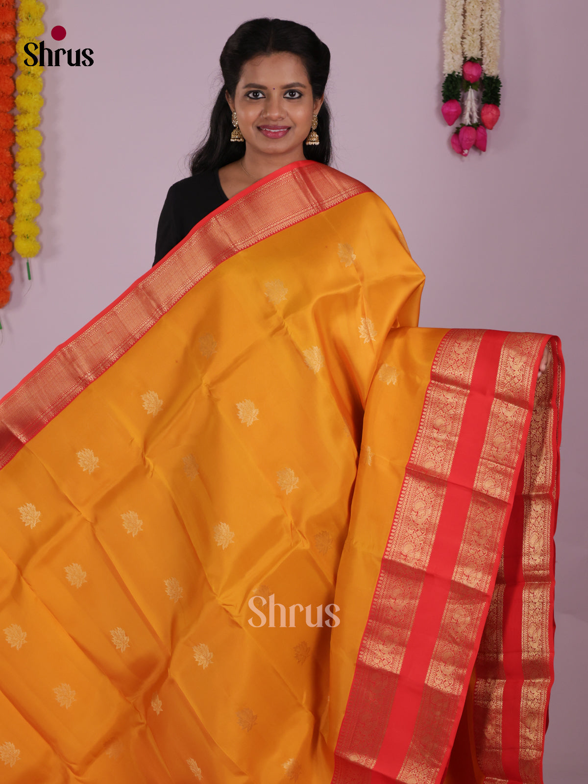 DIS16610 - Kanchipuram-halfpure Saree - Shop on Shrus.com