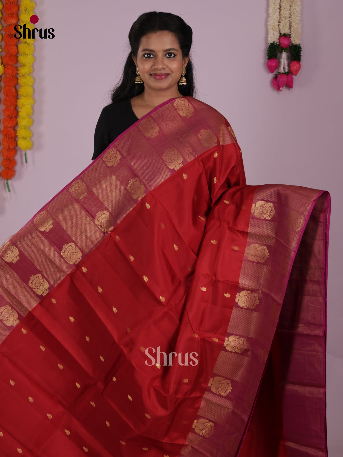 DIS16630 - Kanchipuram-halfpure Saree - Shop on Shrus.com