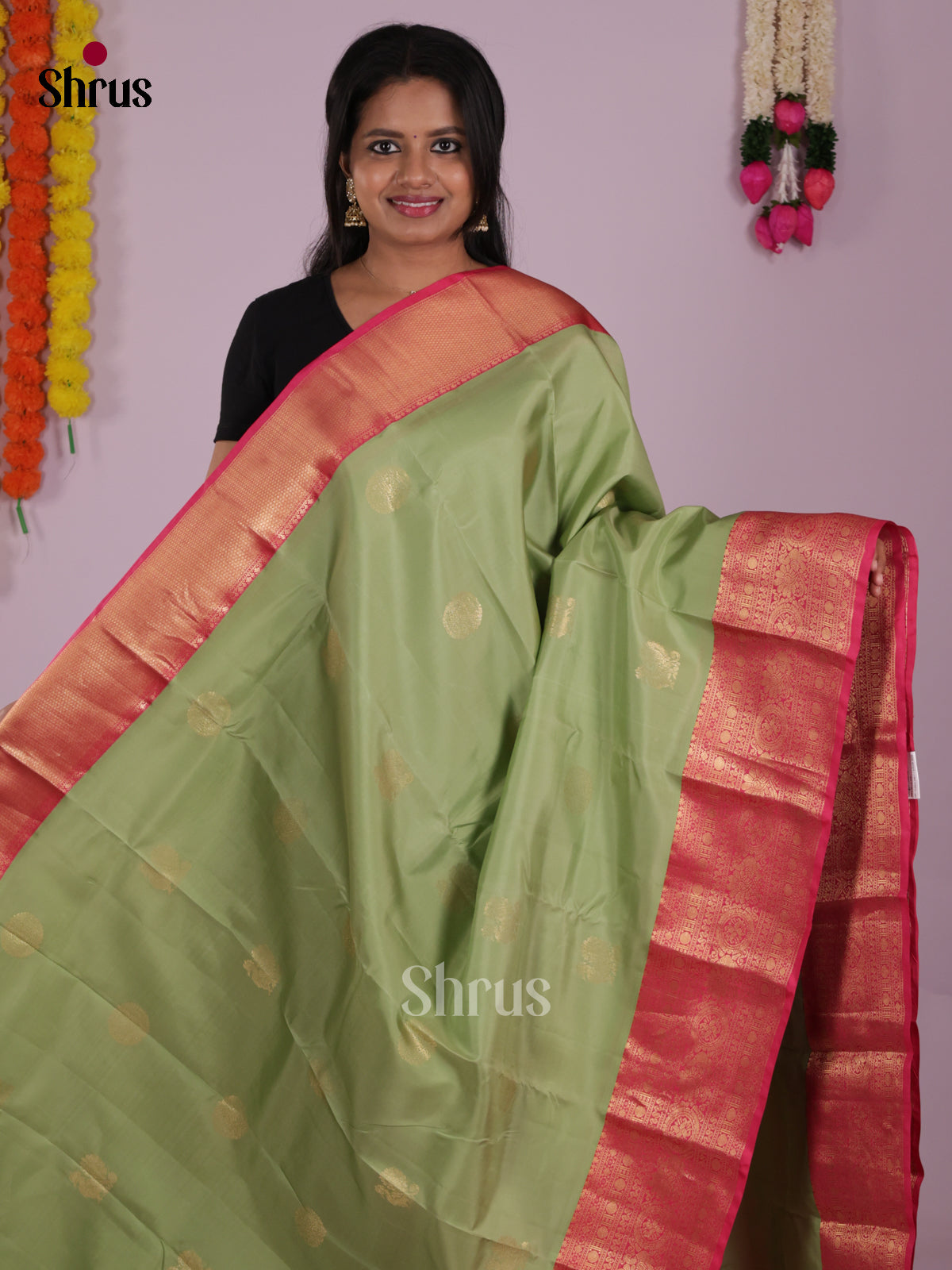 DIS16715 - Kanchipuram-halfpure Saree - Shop on Shrus.com
