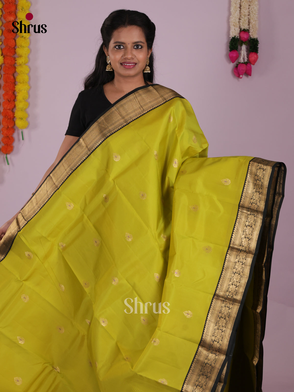 DIS16723 - Kanchipuram-halfpure Saree - Shop on Shrus.com