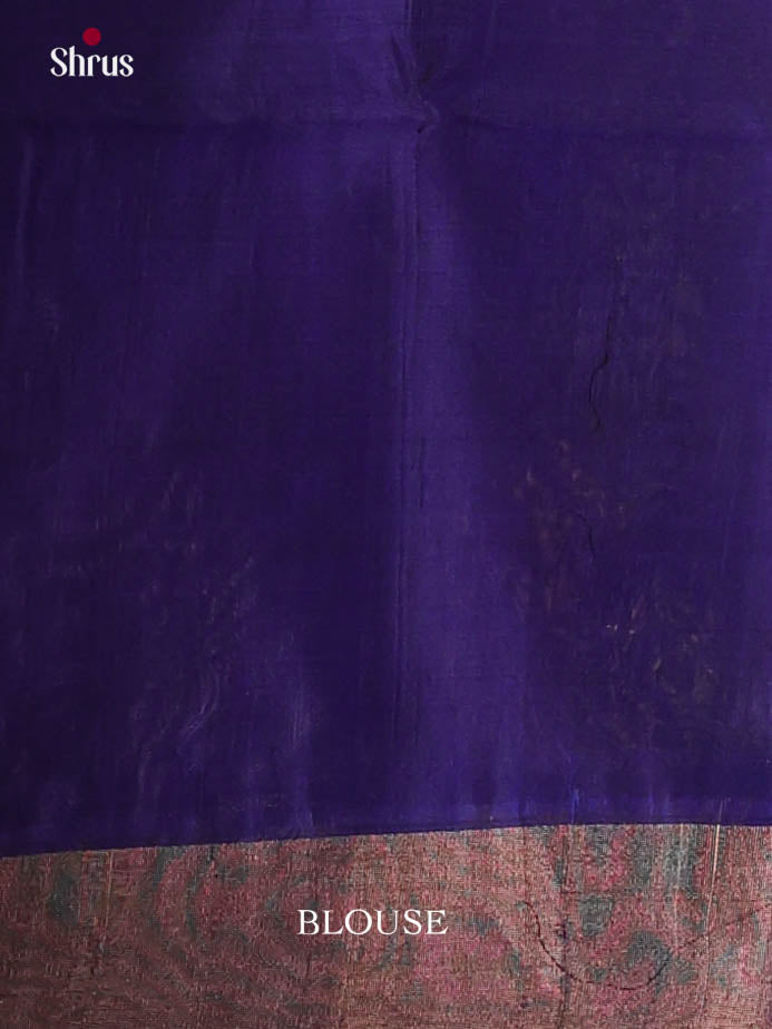 Green & Blue - Pochampally sico Saree