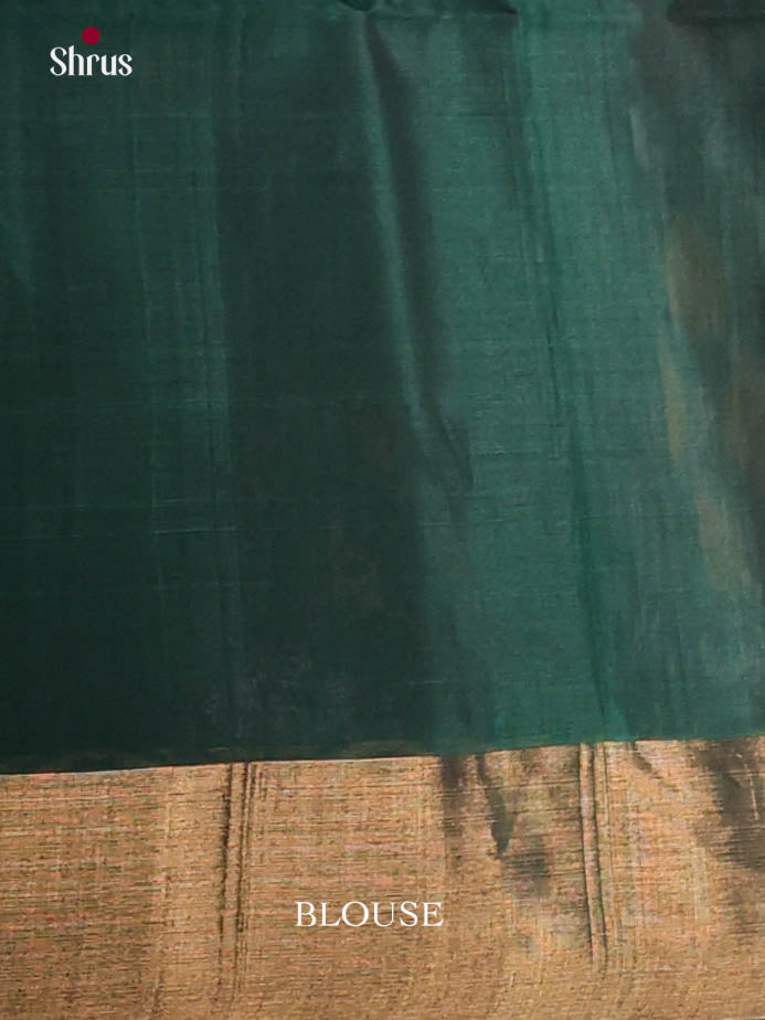 Grey & Green- Pochampally sico Saree - Shop on Shrus.com