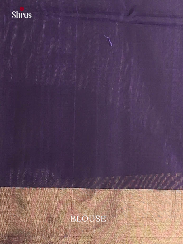 Light Green & Blue- Pochampally sico Saree