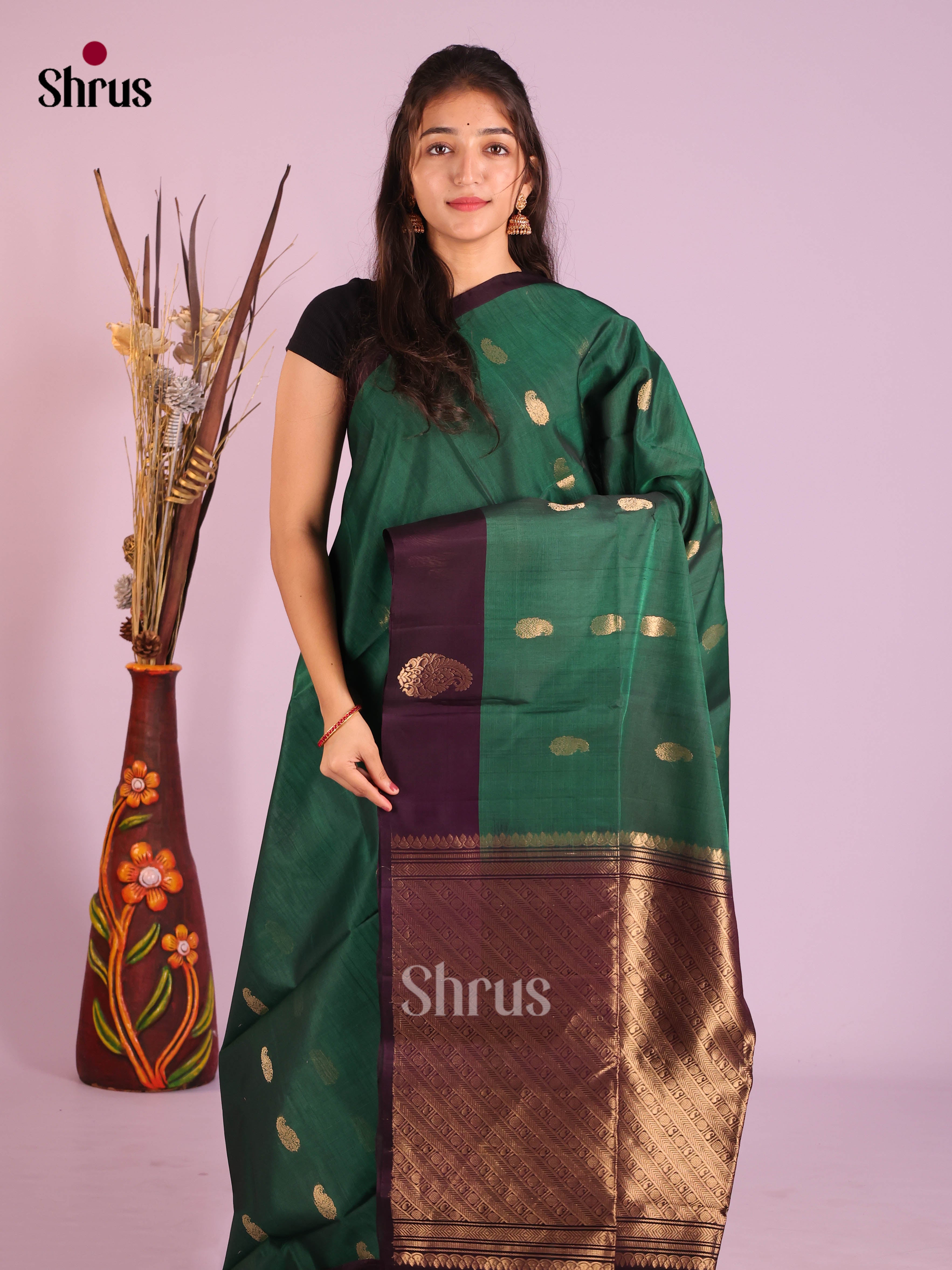 Green & Purple -Timeless Silk Cotton Saree - Shop on Shrus.com